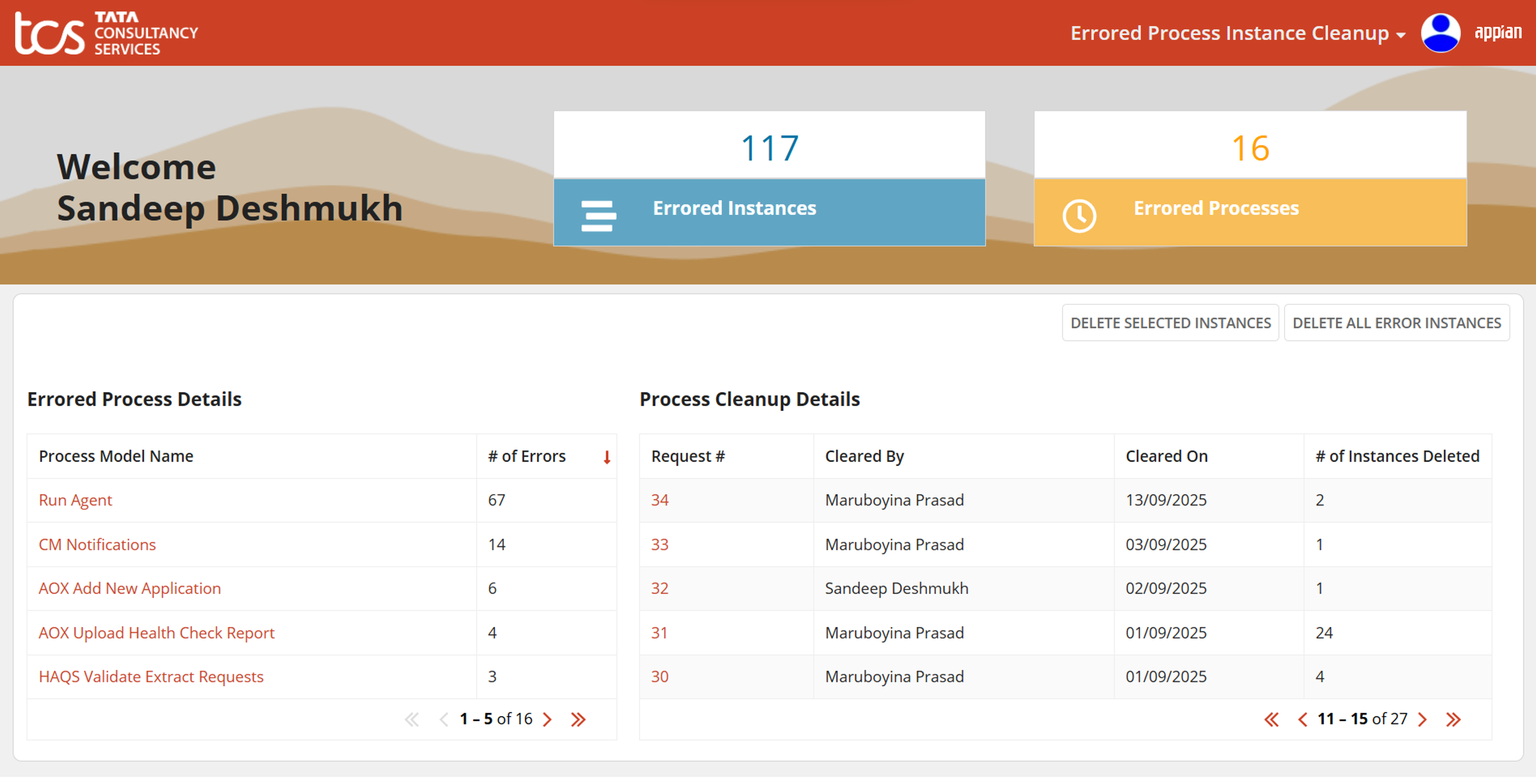 TCS Errored Process Instance Cleanup screenshot 2