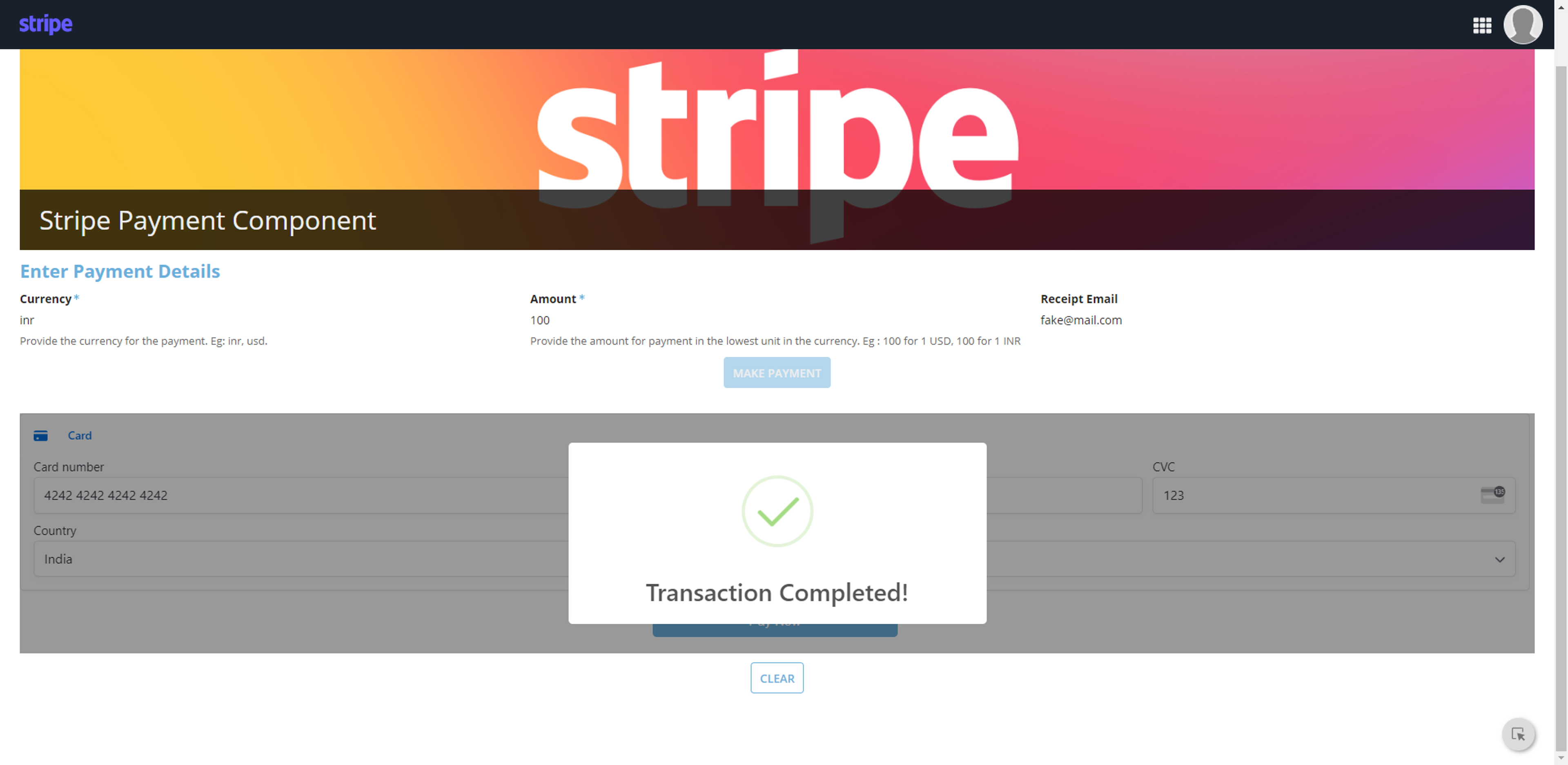 Stripe screenshot 2