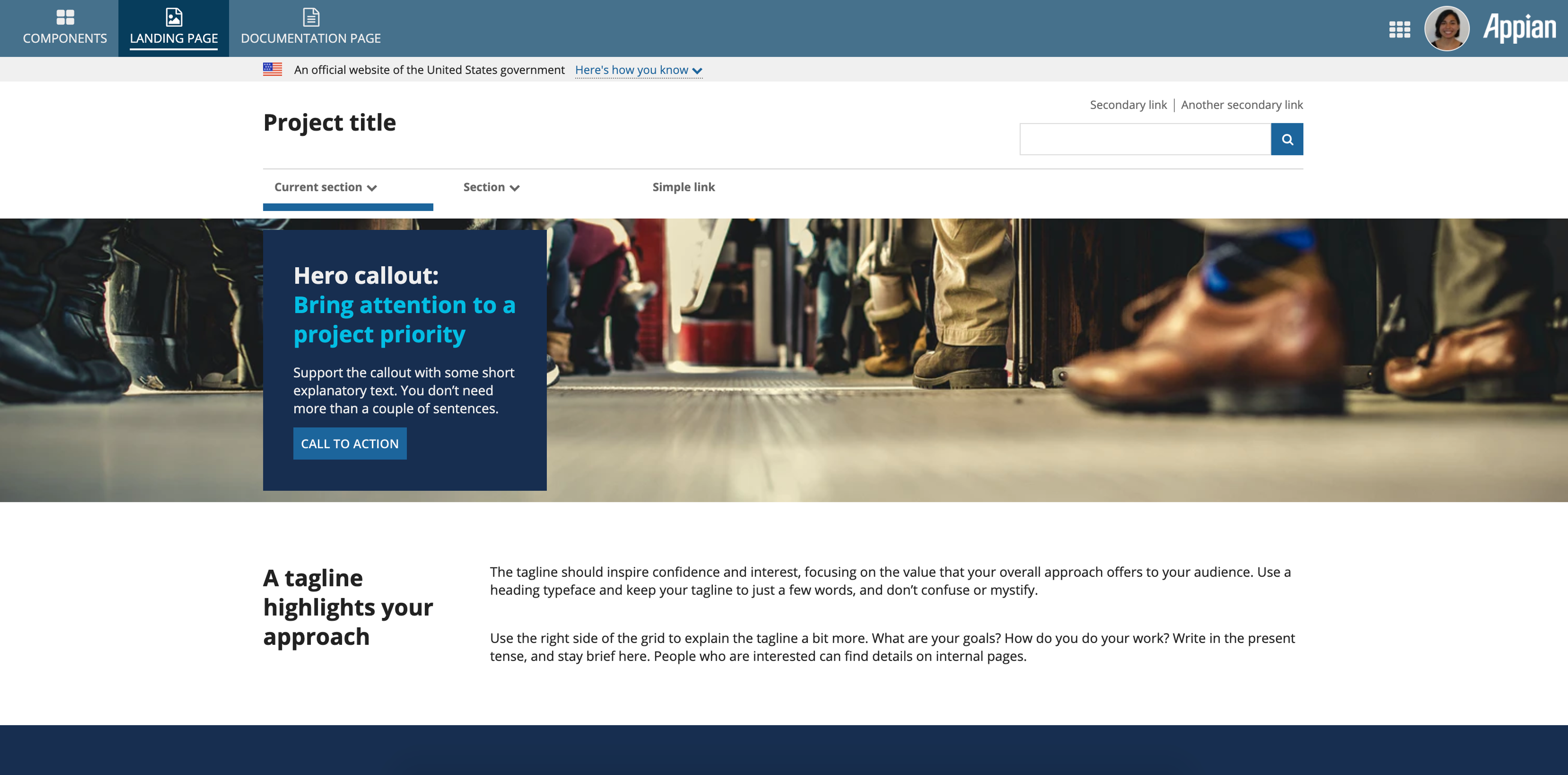US Web Design System screenshot 2