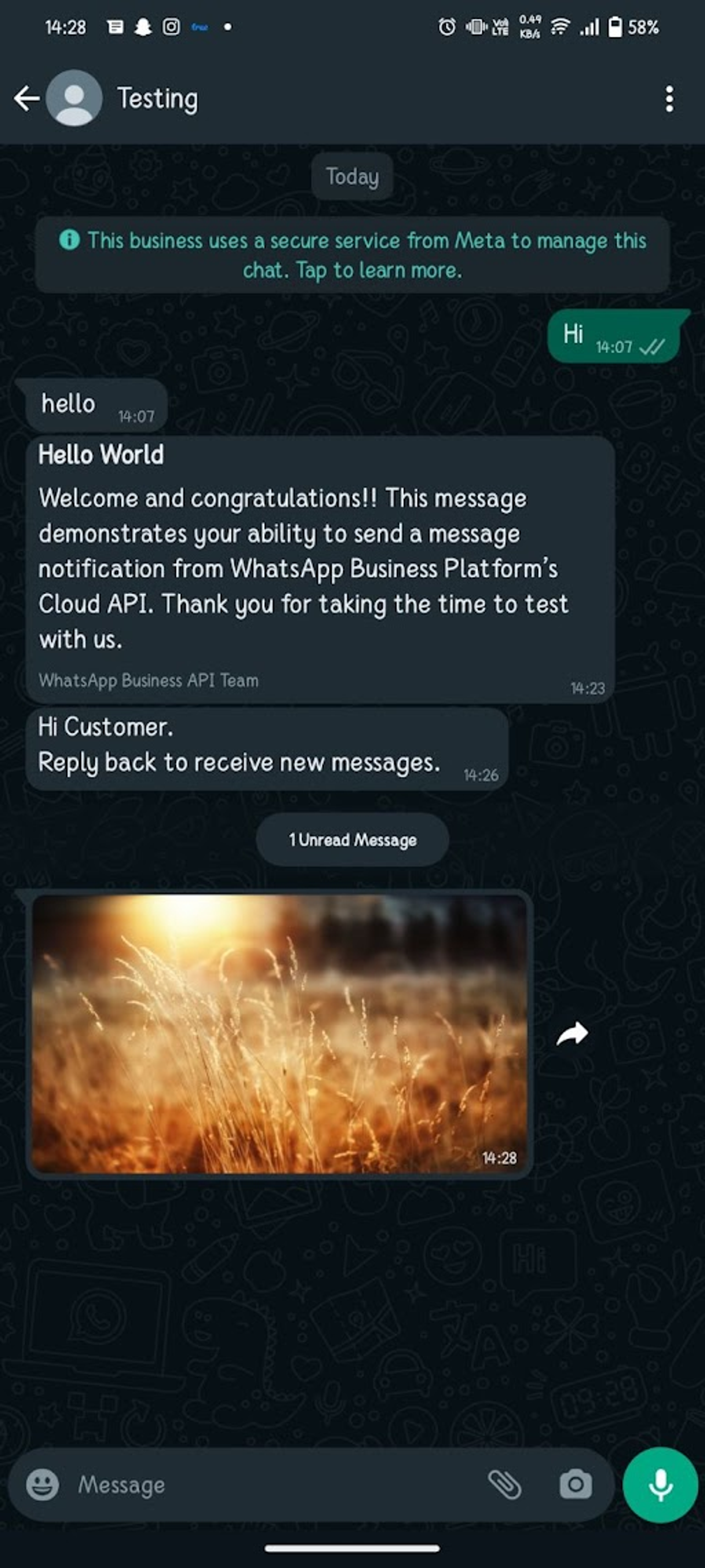 WhatsApp Business screenshot 3