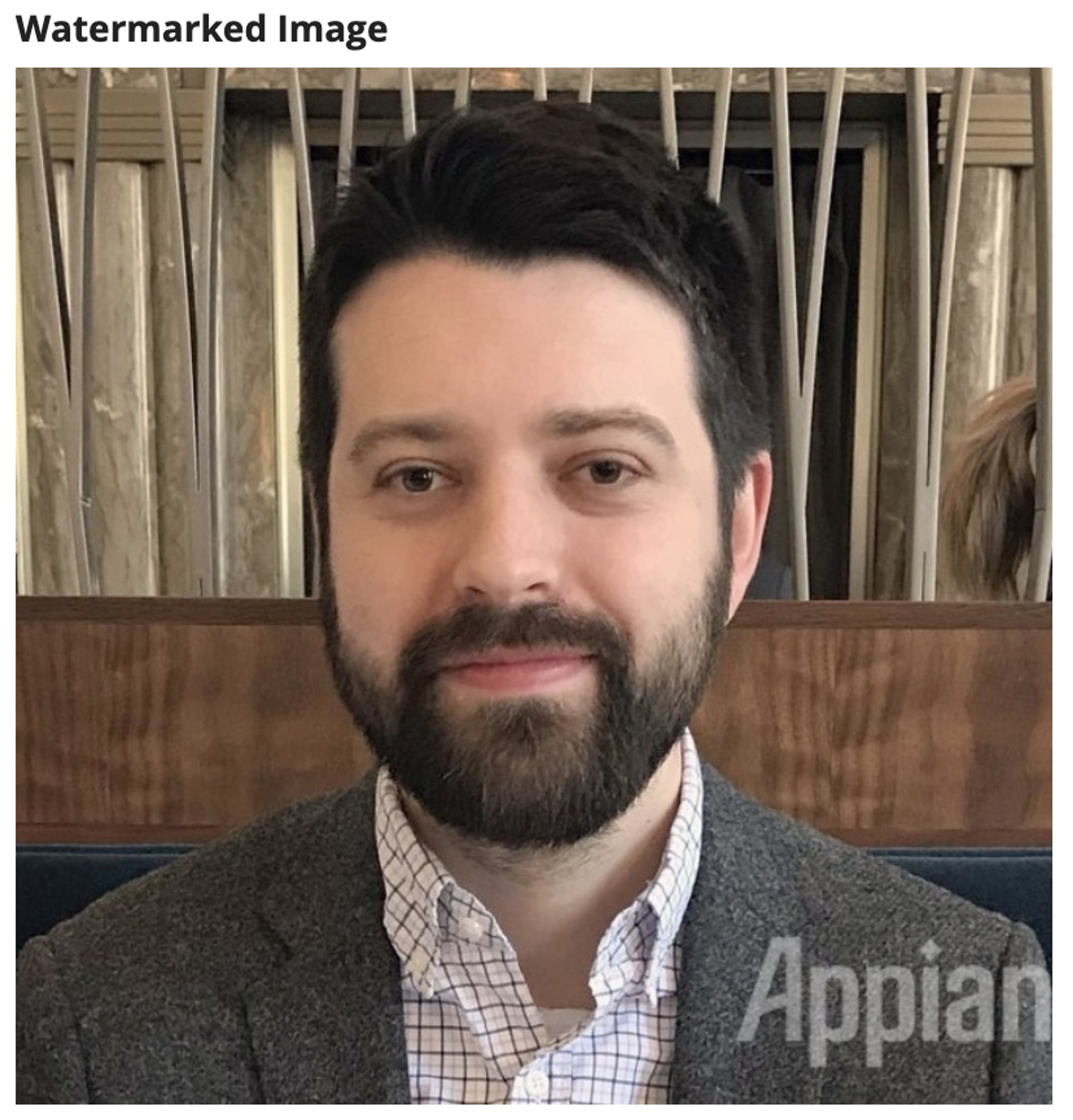 Watermark Image screenshot 1