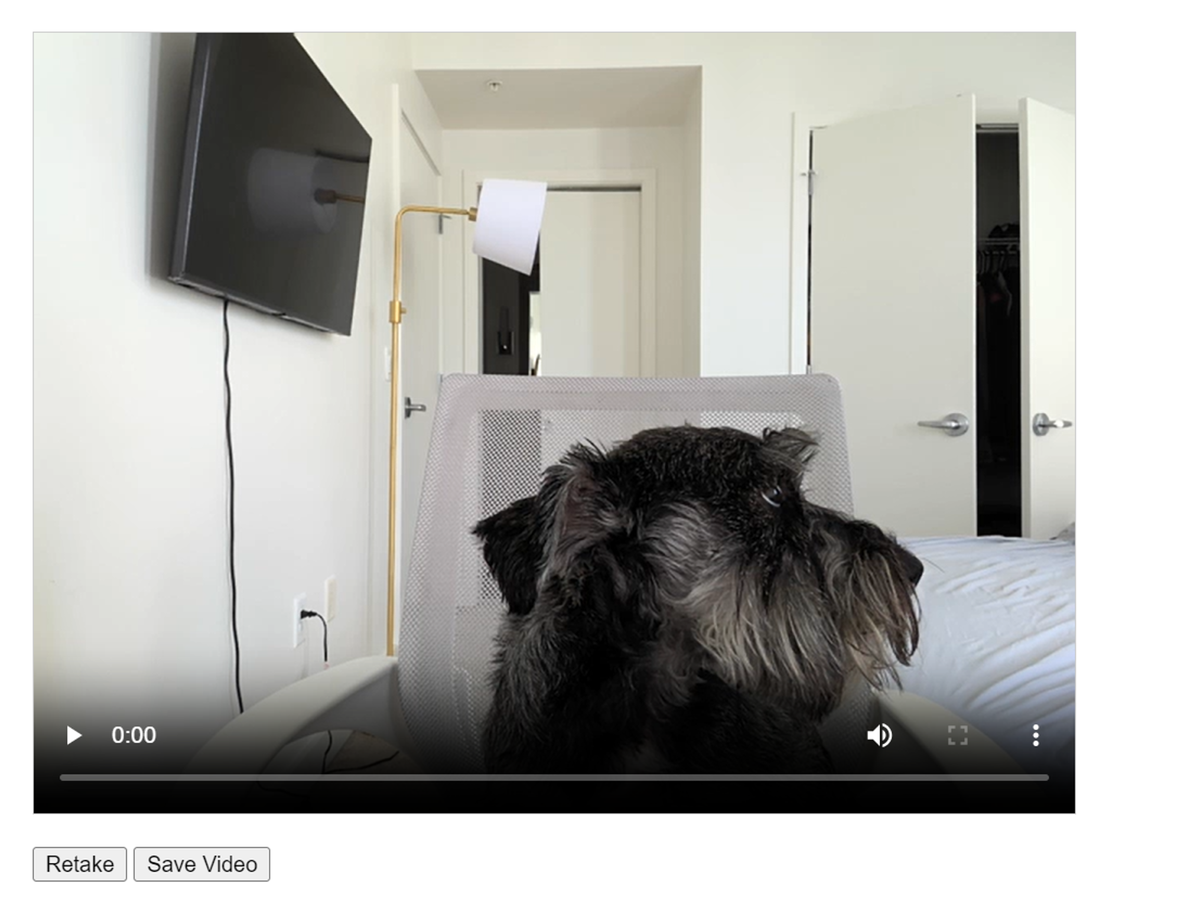 Capture Image and Video screenshot 4