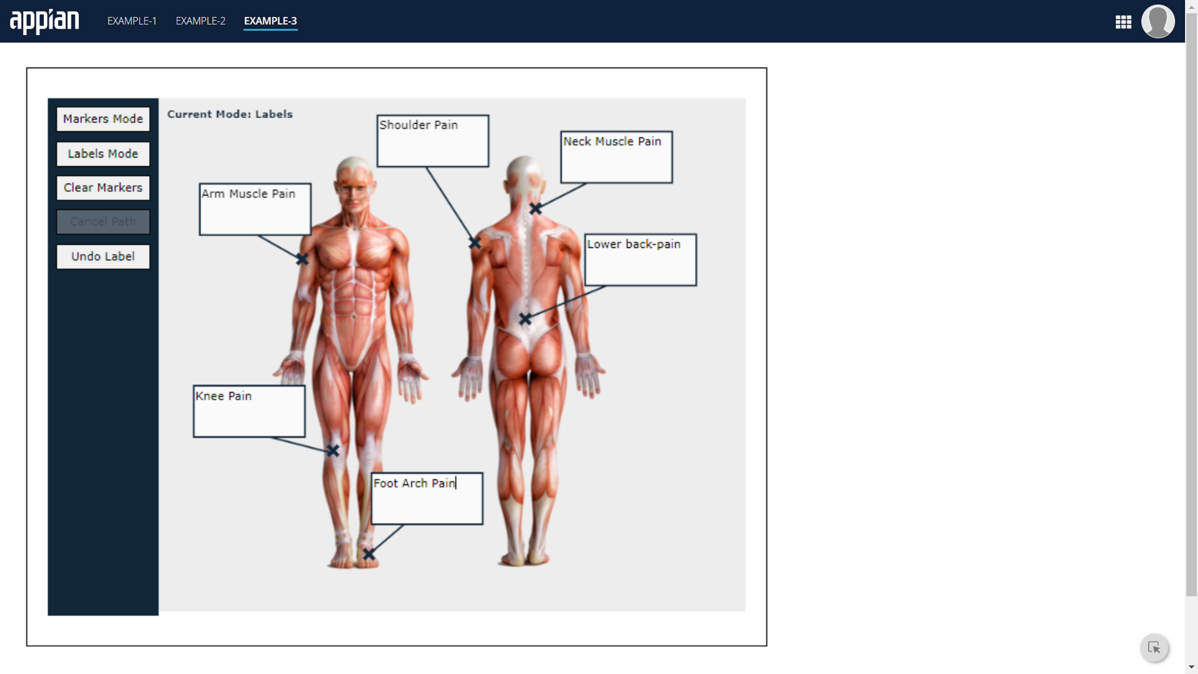 Advanced Image Annotation screenshot 2