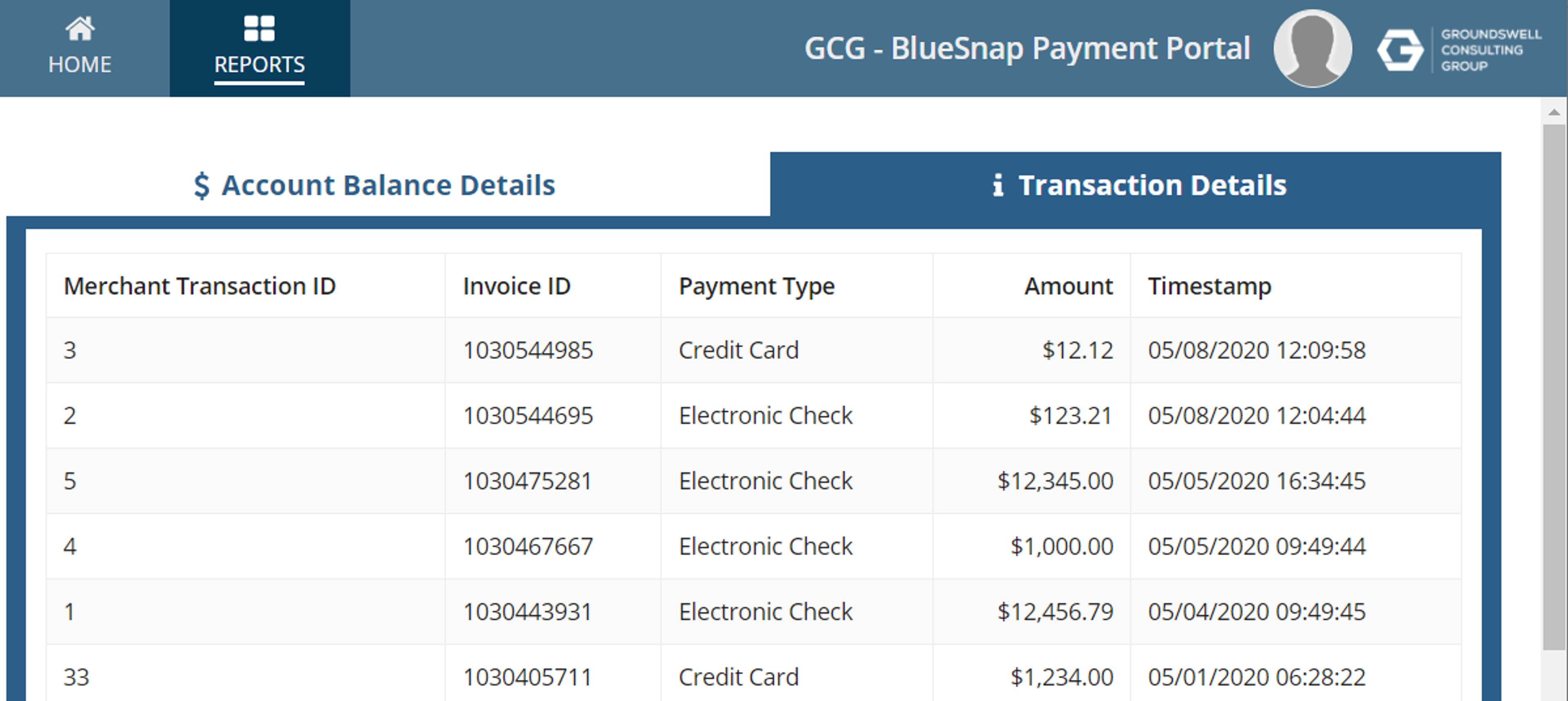 BlueSnap Hosted Payment Framework screenshot 2