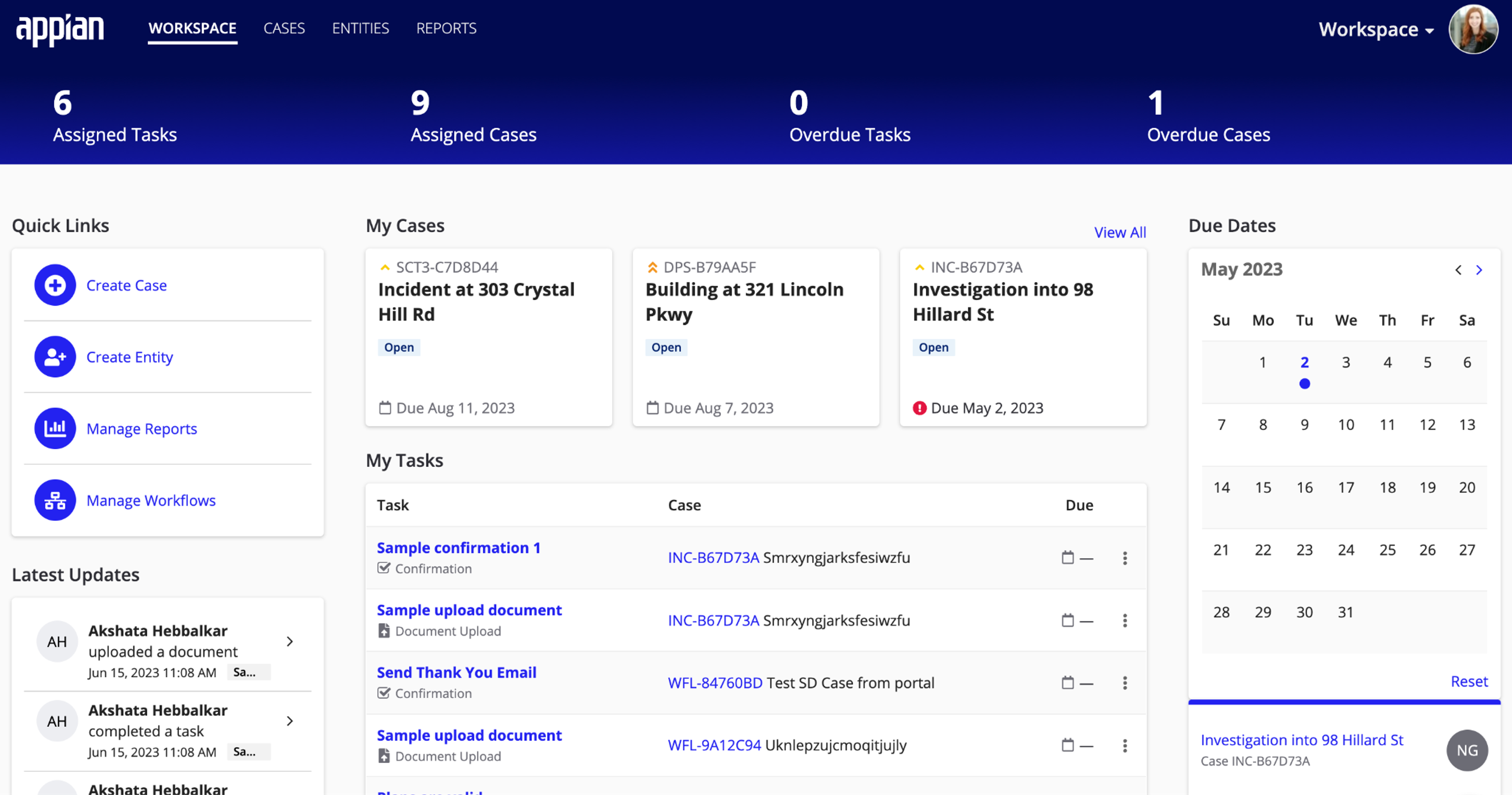 Appian Public Sector Case Management screenshot 5