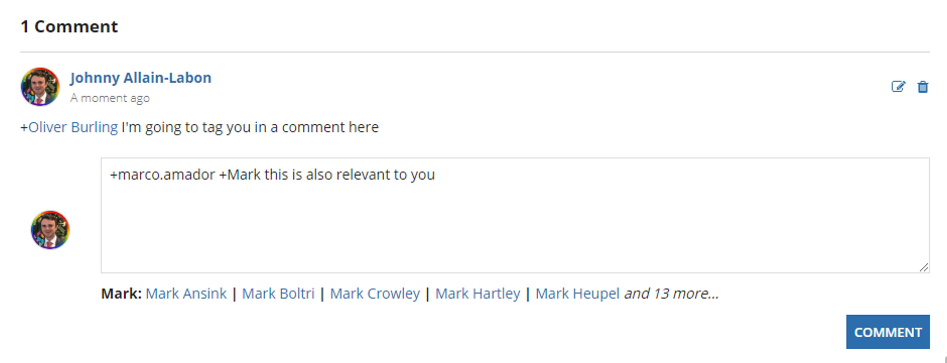 Record Comments screenshot 2