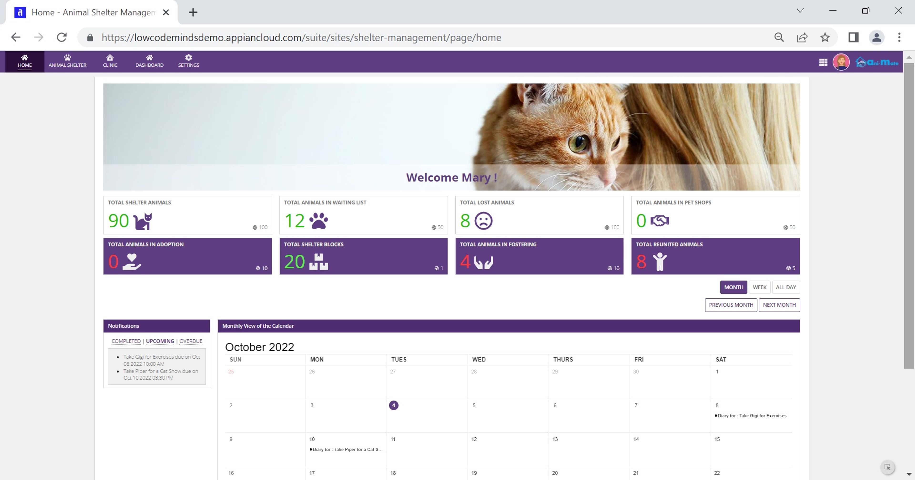 ani-mate screenshot 1