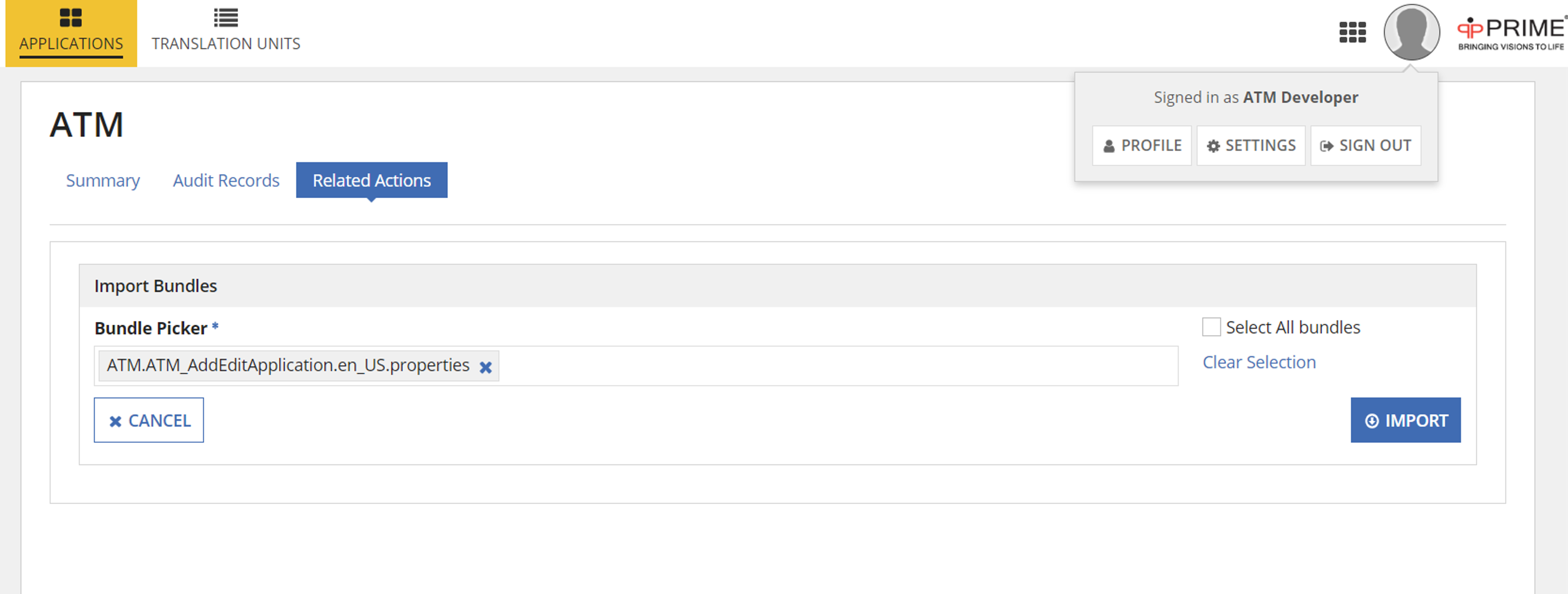 Application Translation Management screenshot 5