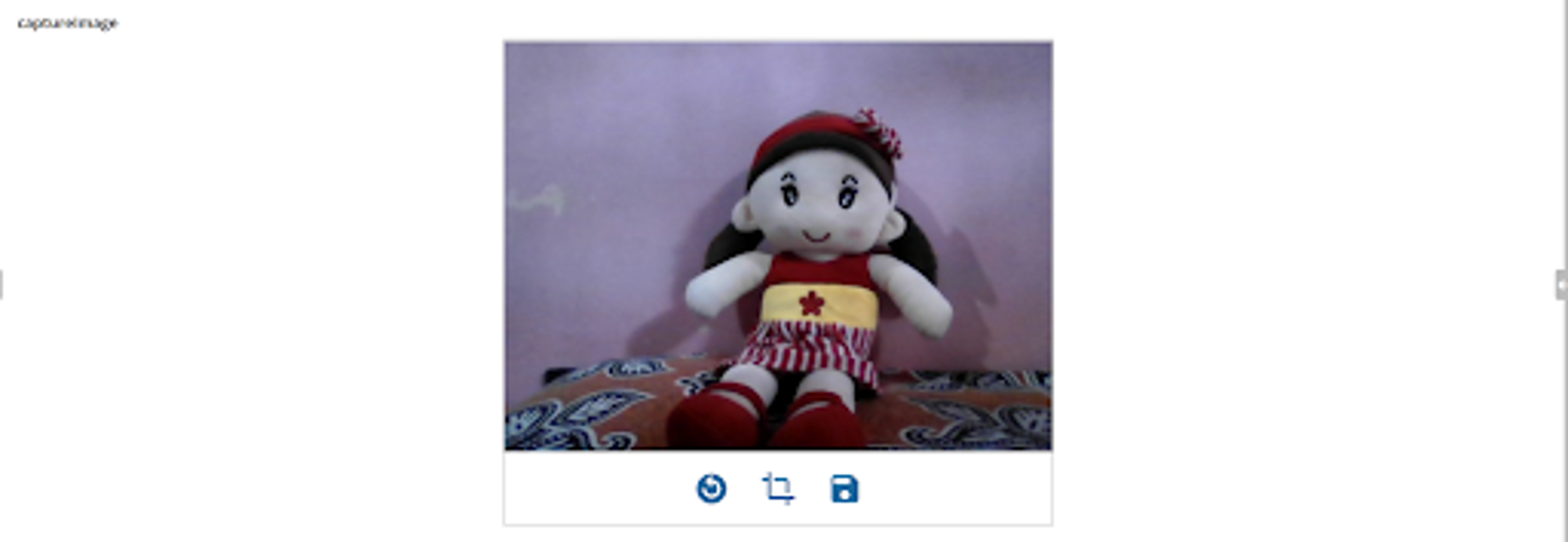 Capture Image screenshot 2