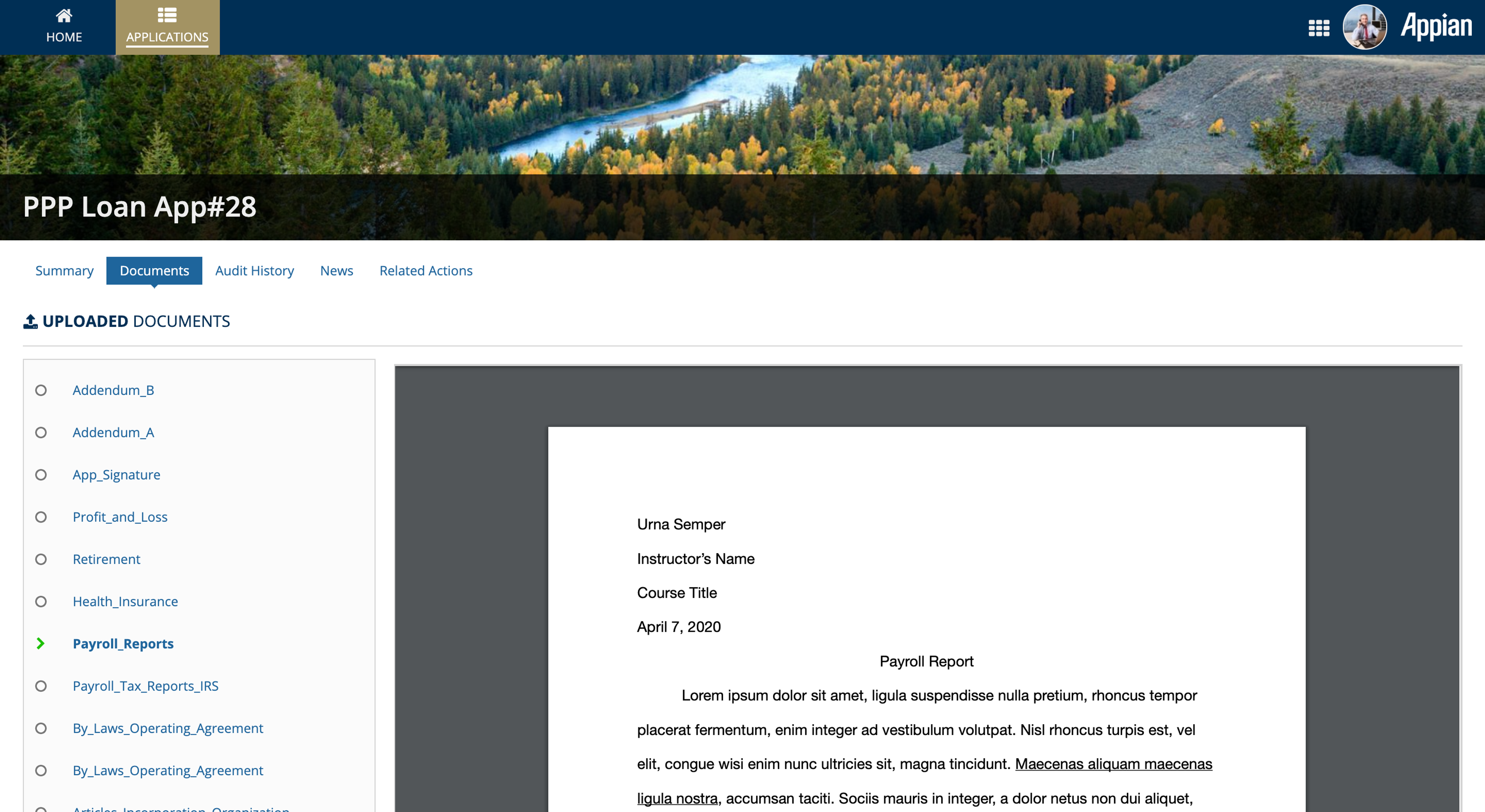 Paycheck Protection Program screenshot 4