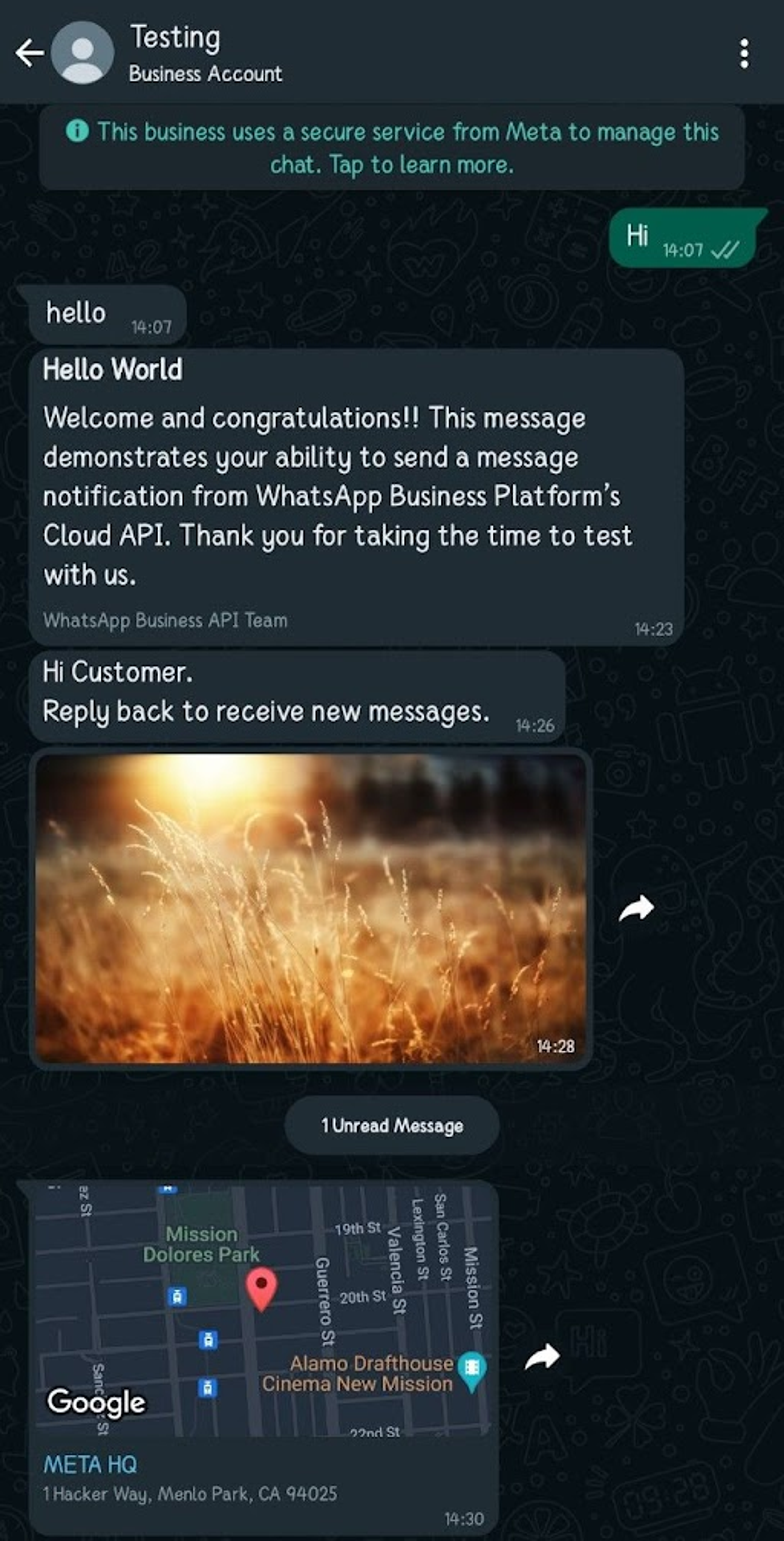 WhatsApp Business screenshot 5