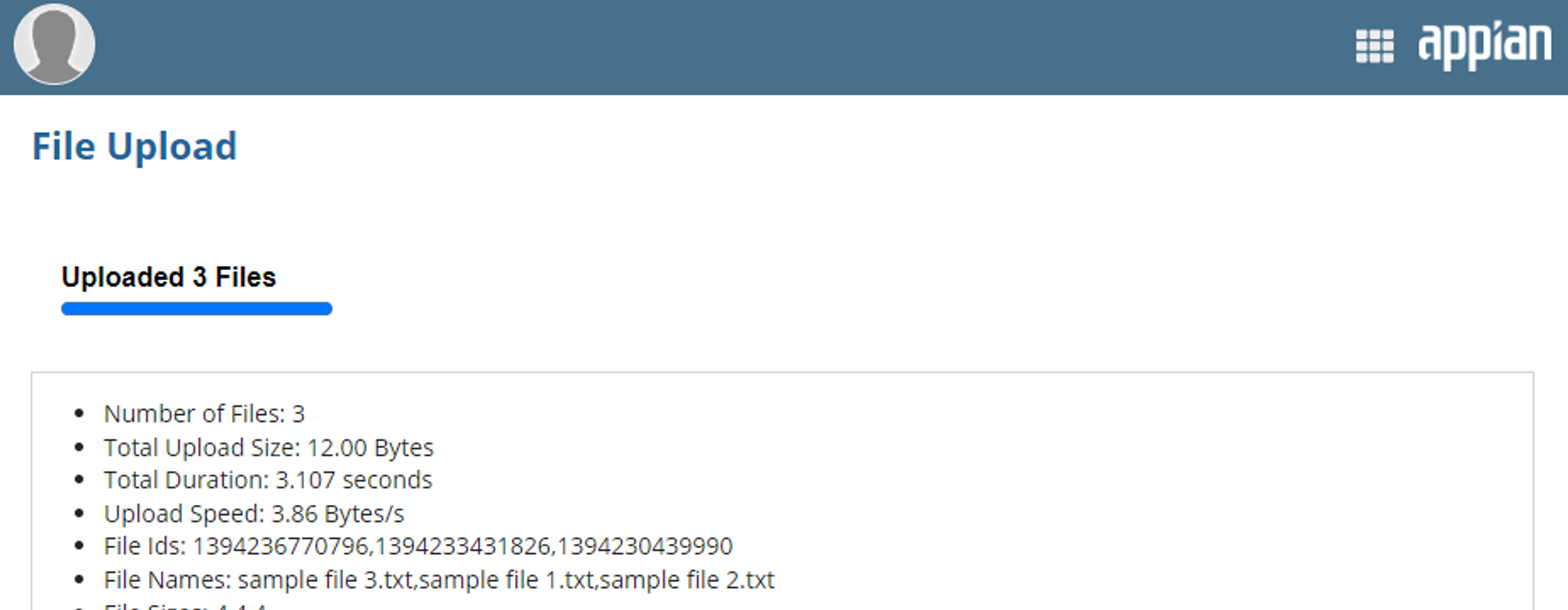 Box File Upload screenshot 3