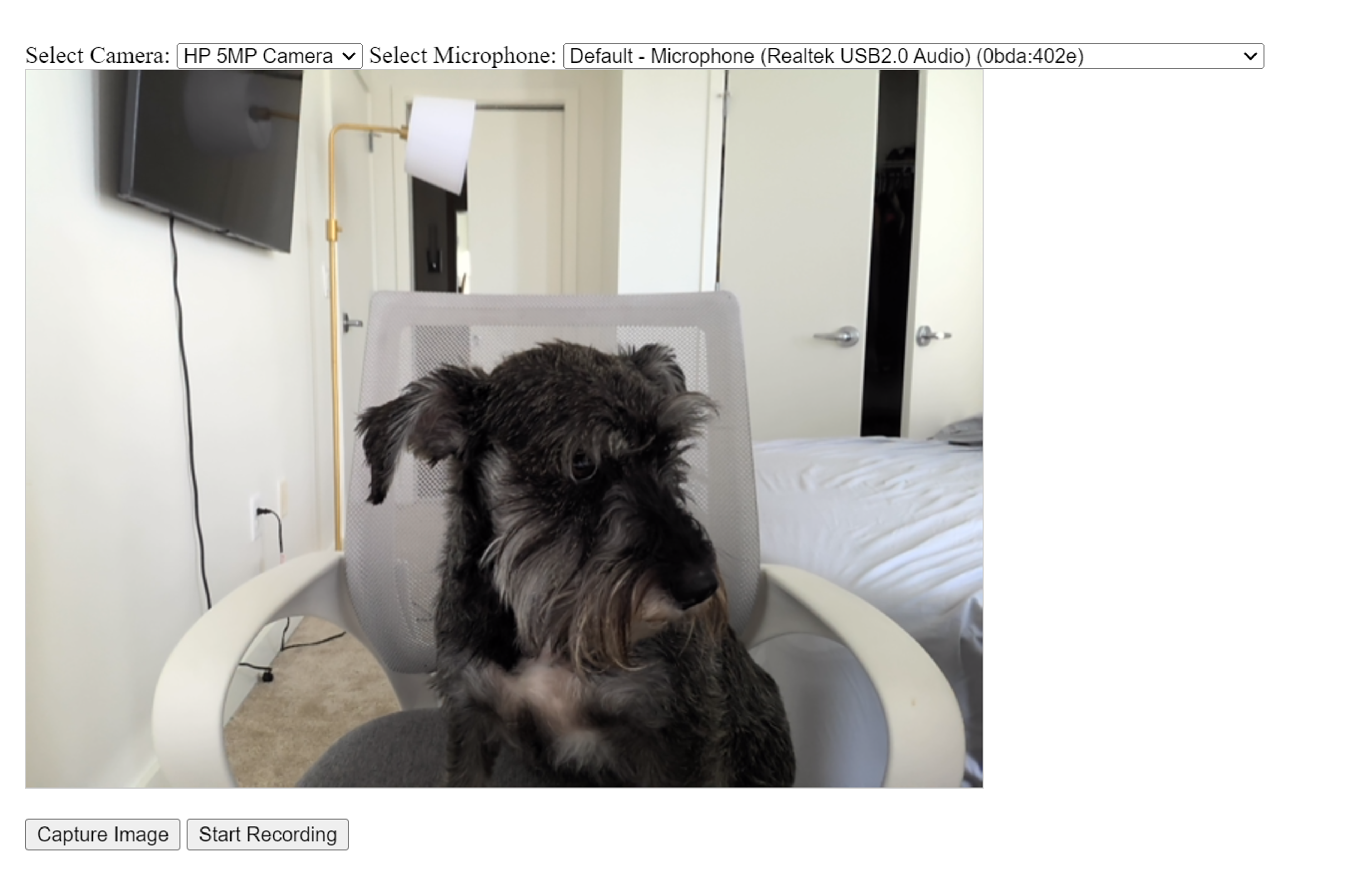 Capture Image and Video screenshot 2