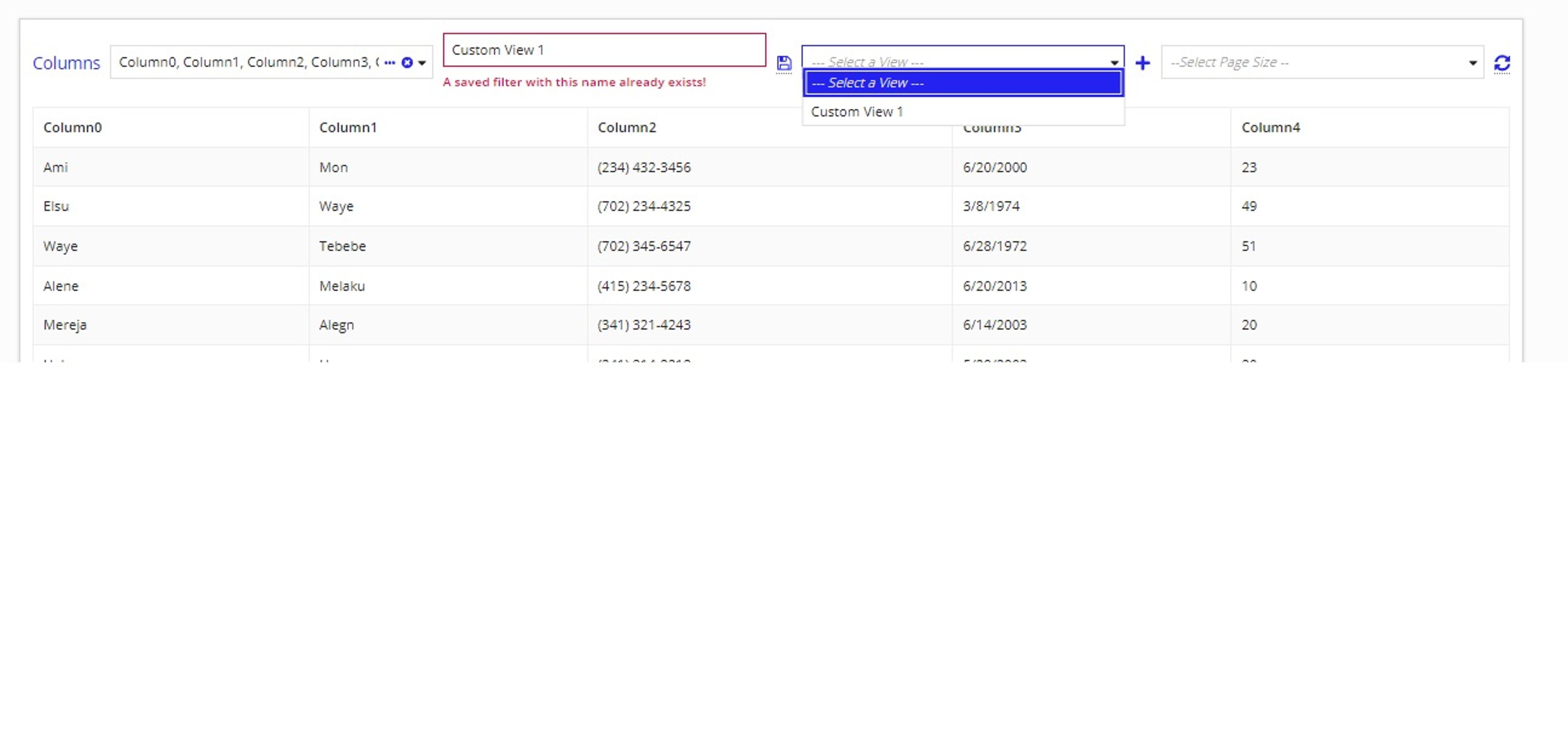 ReadOnly Grid Dynamic Column screenshot 2