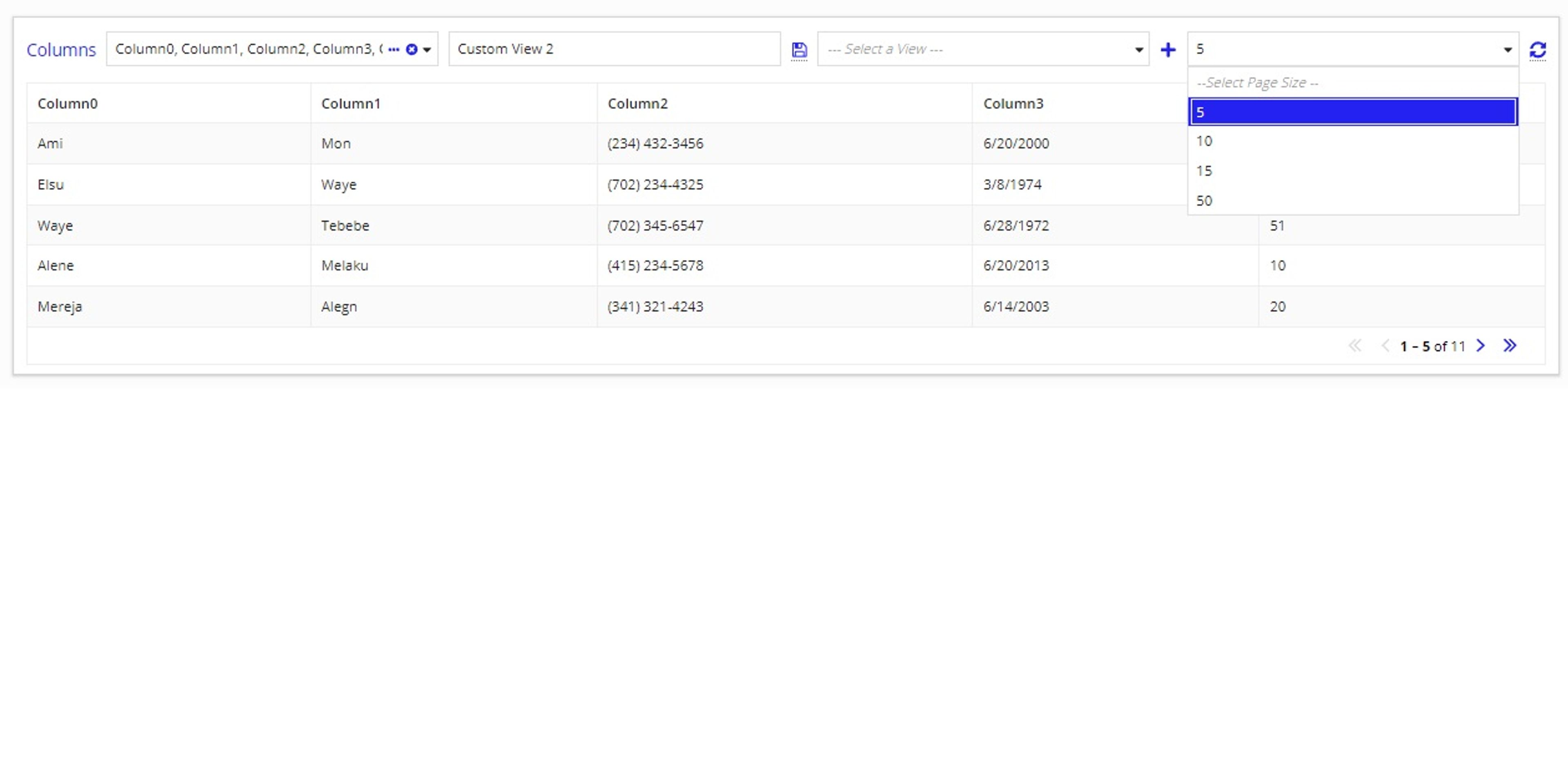 ReadOnly Grid Dynamic Column screenshot 3