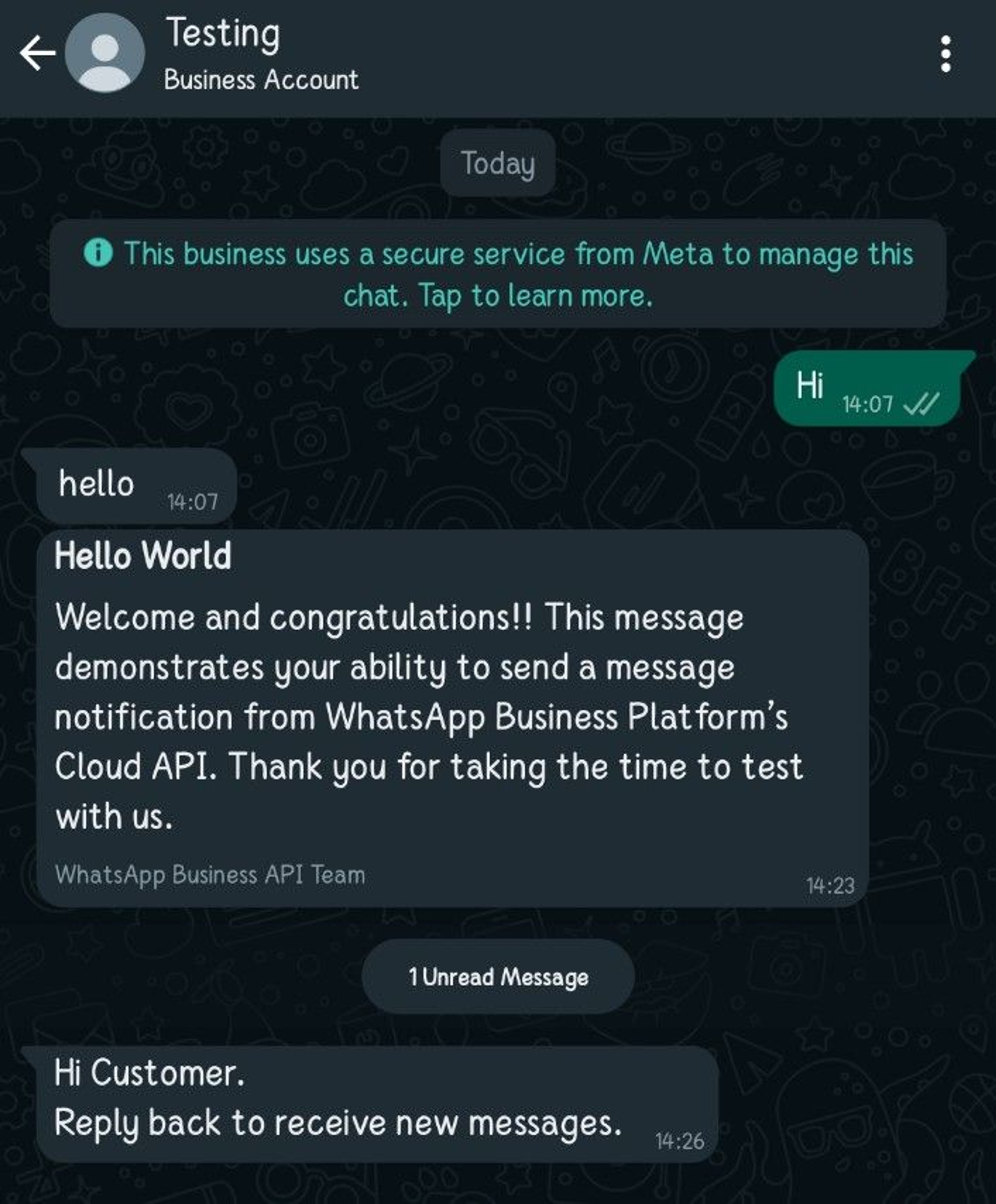 WhatsApp Business screenshot 1
