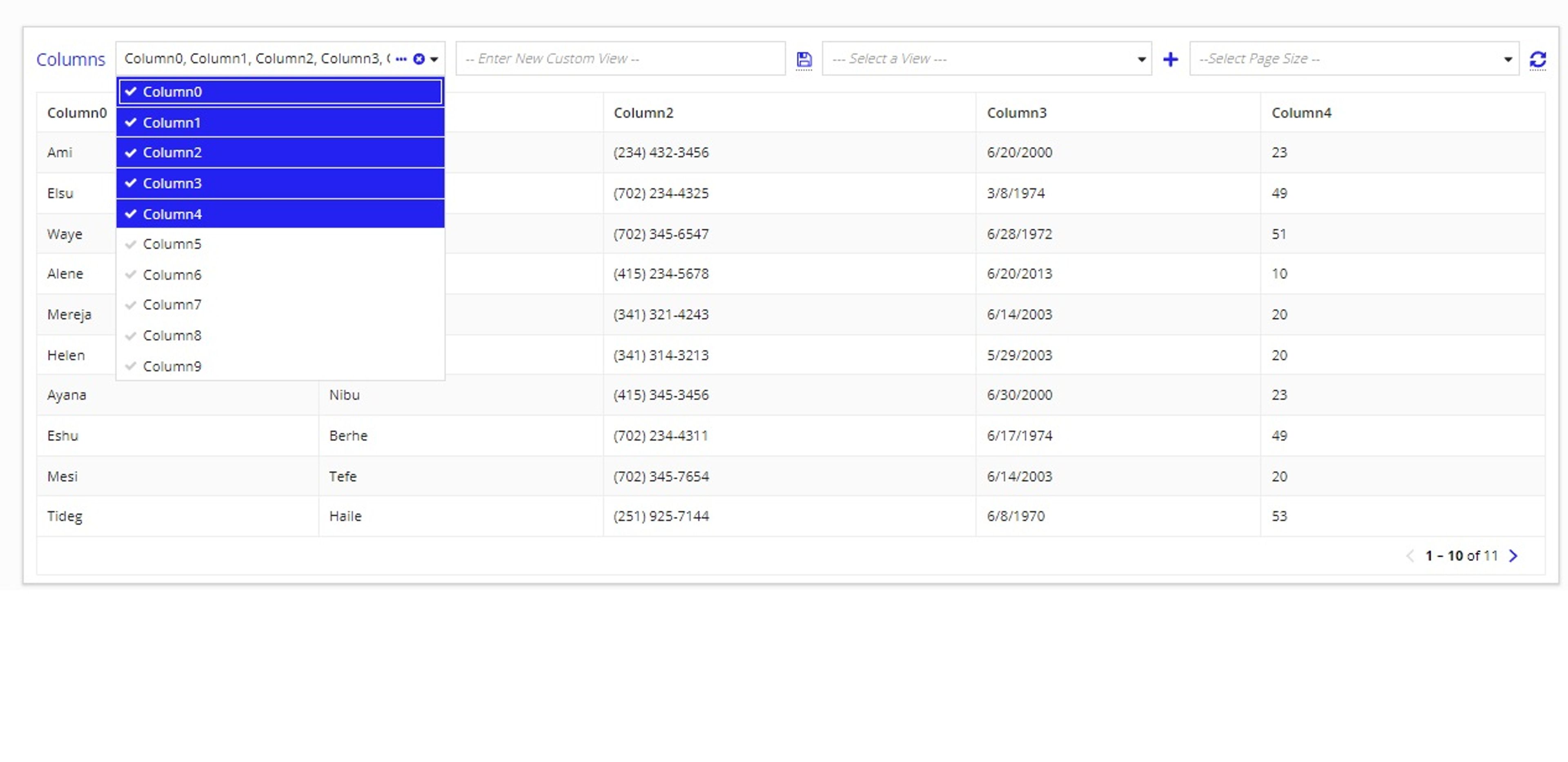 ReadOnly Grid Dynamic Column screenshot 1