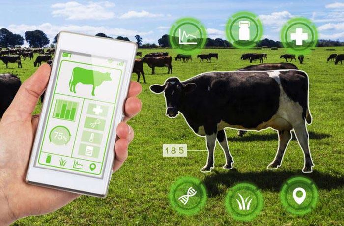 Smart Dairy Farms in India: How Automation Is Boosting Milk Production in 2026