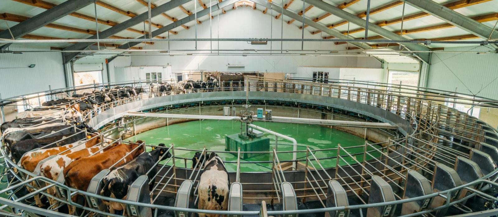 visitors exploring smart dairy machinery and milk production technology at dairy exhibition India 2026