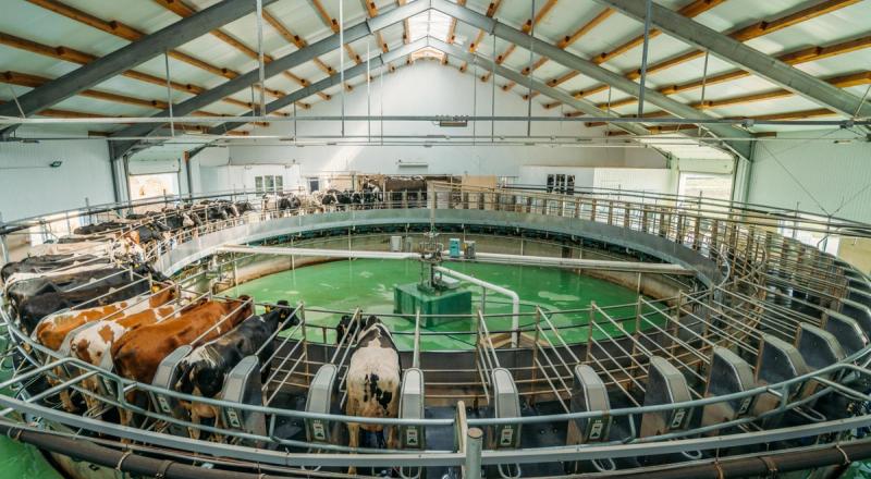 visitors exploring smart dairy machinery and milk production technology at dairy exhibition India 2026