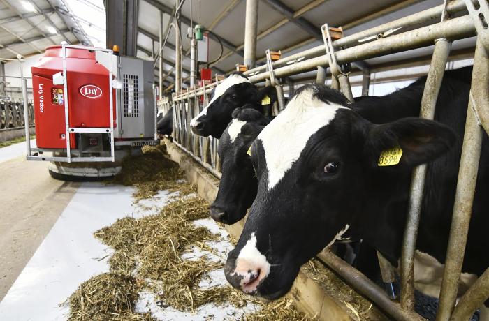 live demo of milk production technology at dairy expo 2026 India with visitors and dairy machinery suppliers