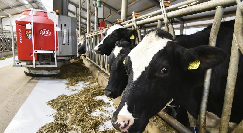 live demo of milk production technology at dairy expo 2026 India with visitors and dairy machinery suppliers