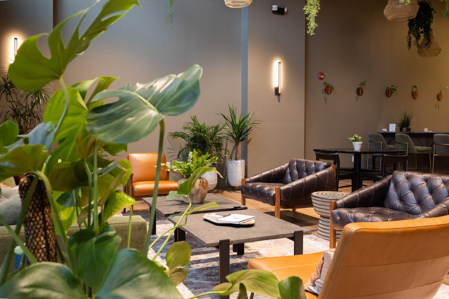 Coffee Bar