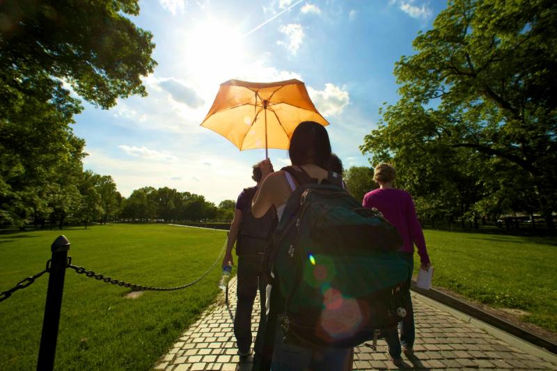 Group walking in park