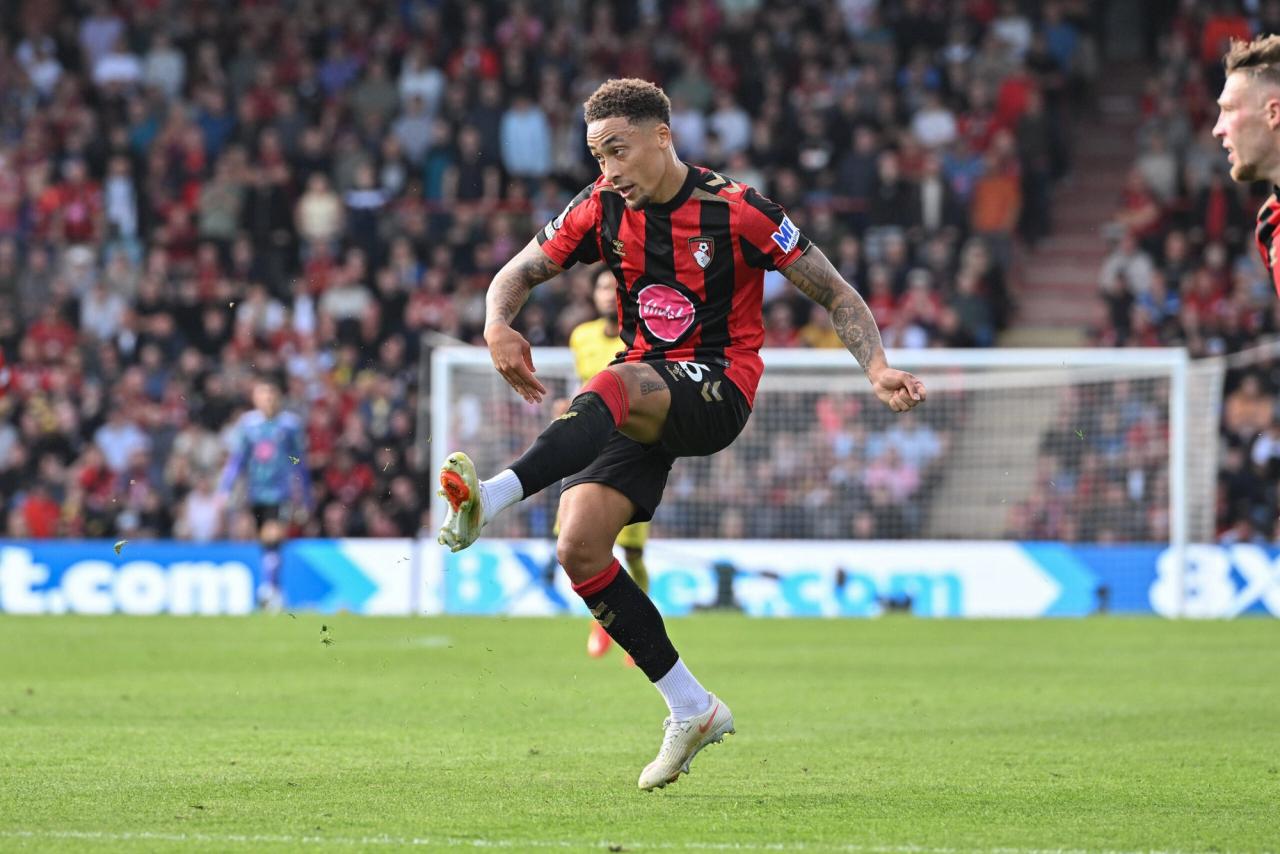 AFC Bournemouth v Brentford, Premier League