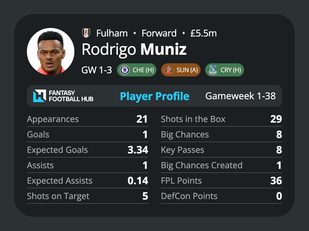 Rodrigo Muniz’s stats