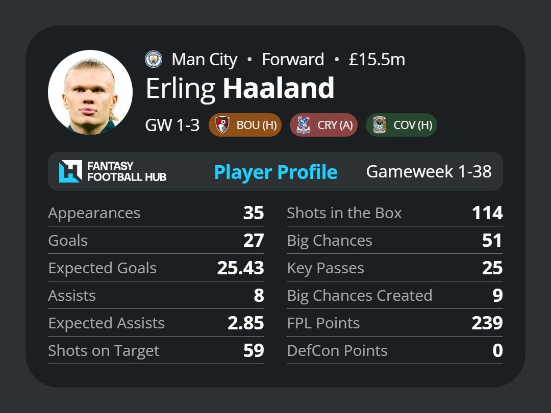 Erling Haaland