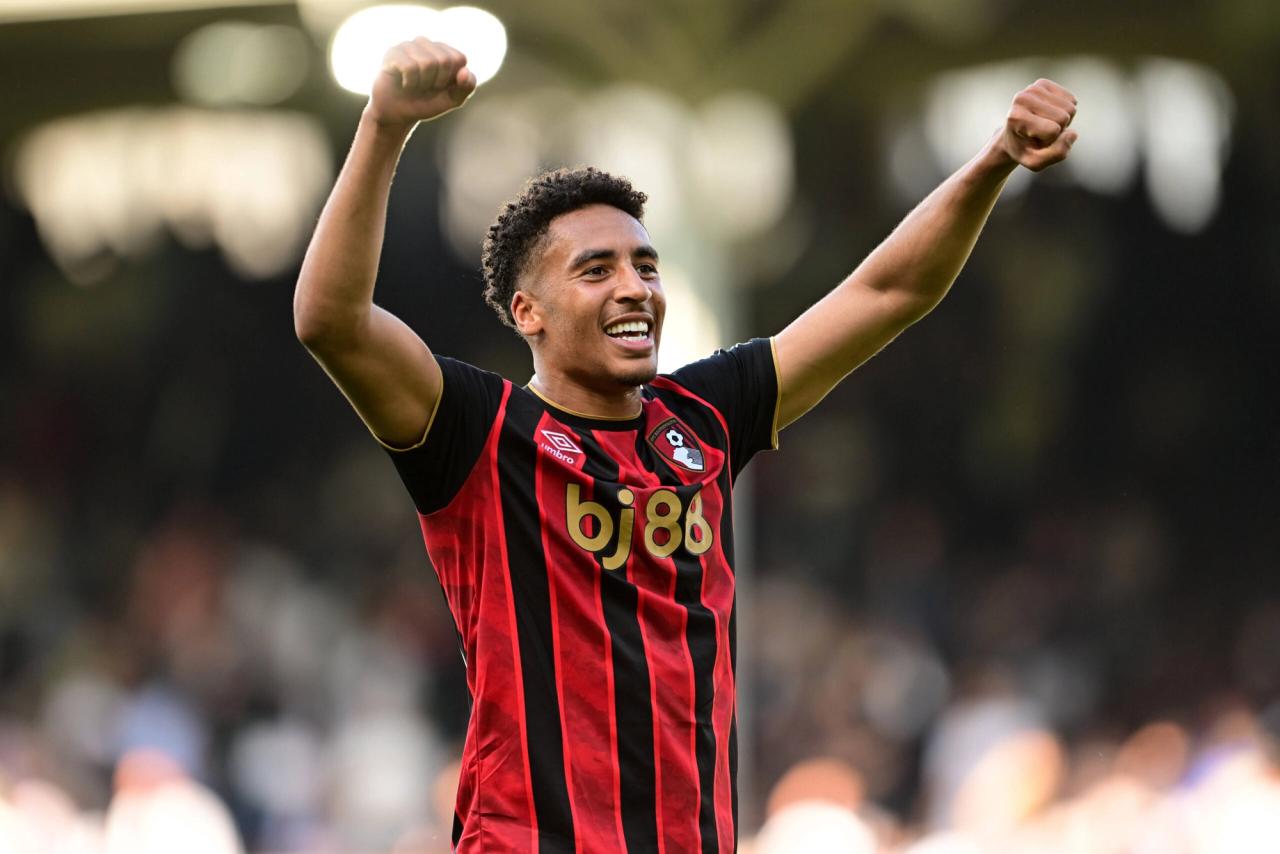 Fulham FC v AFC Bournemouth, Premier League