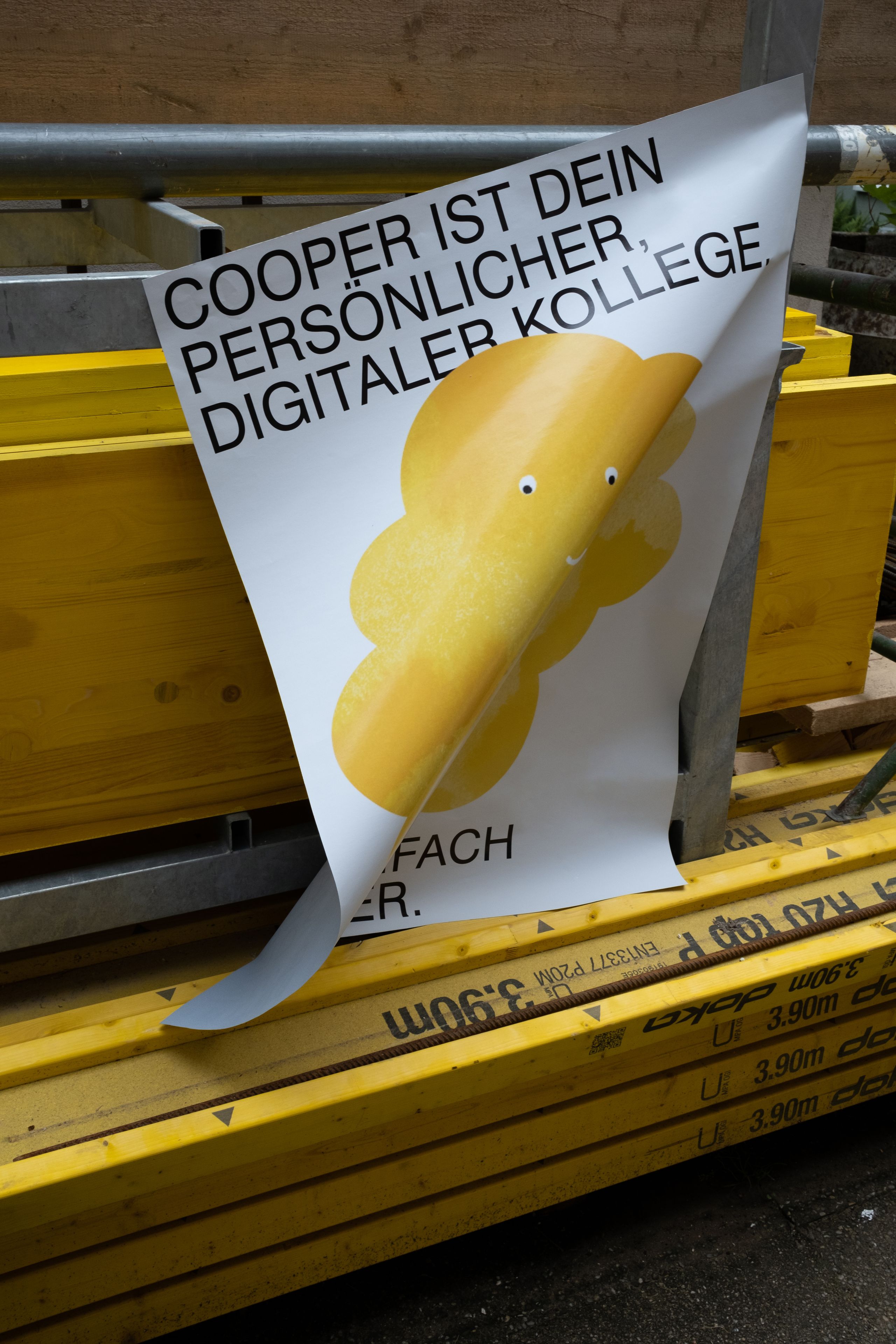 Raiffeisenlandesbank Cooper Poster 2