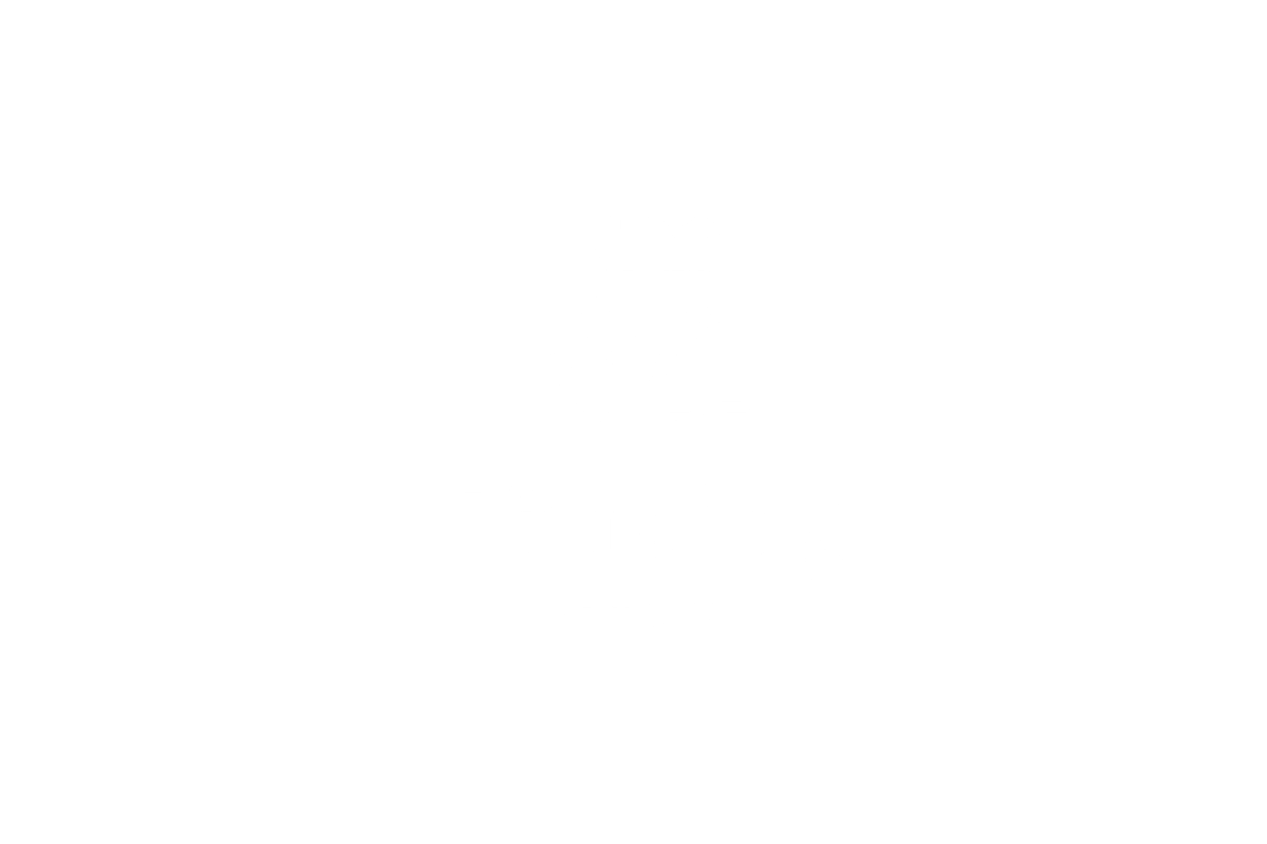 Stadt Eferding Logo