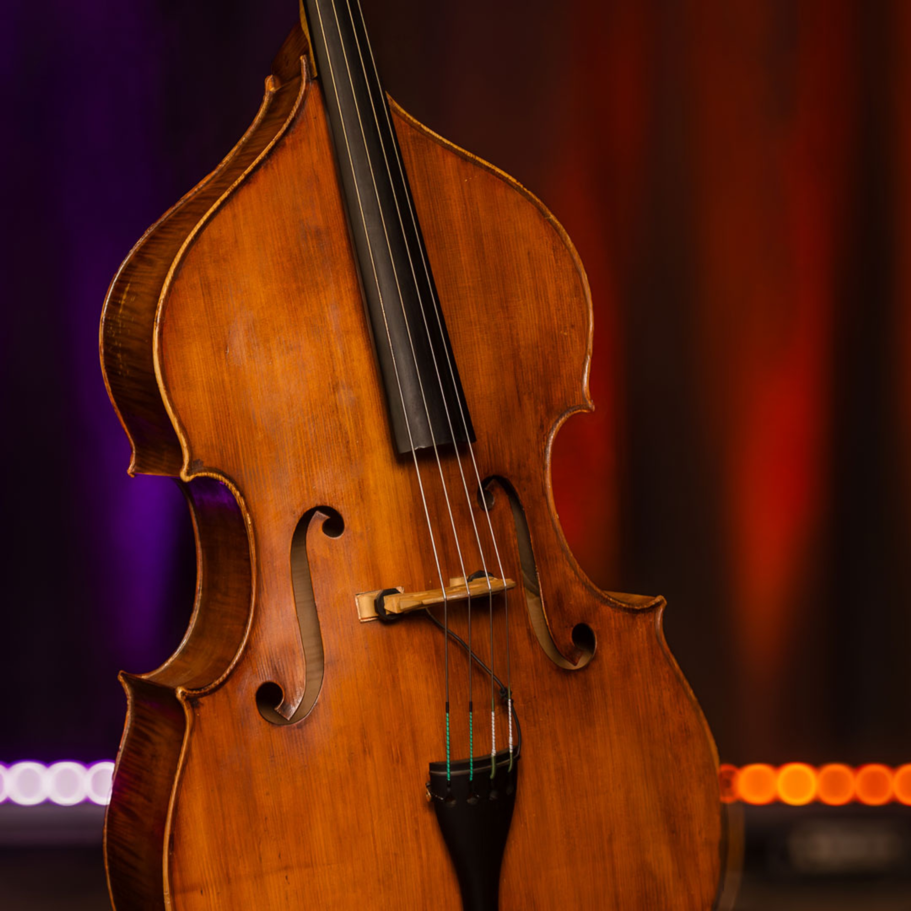 En del av en kontrabas mot en mörk bakgrund.