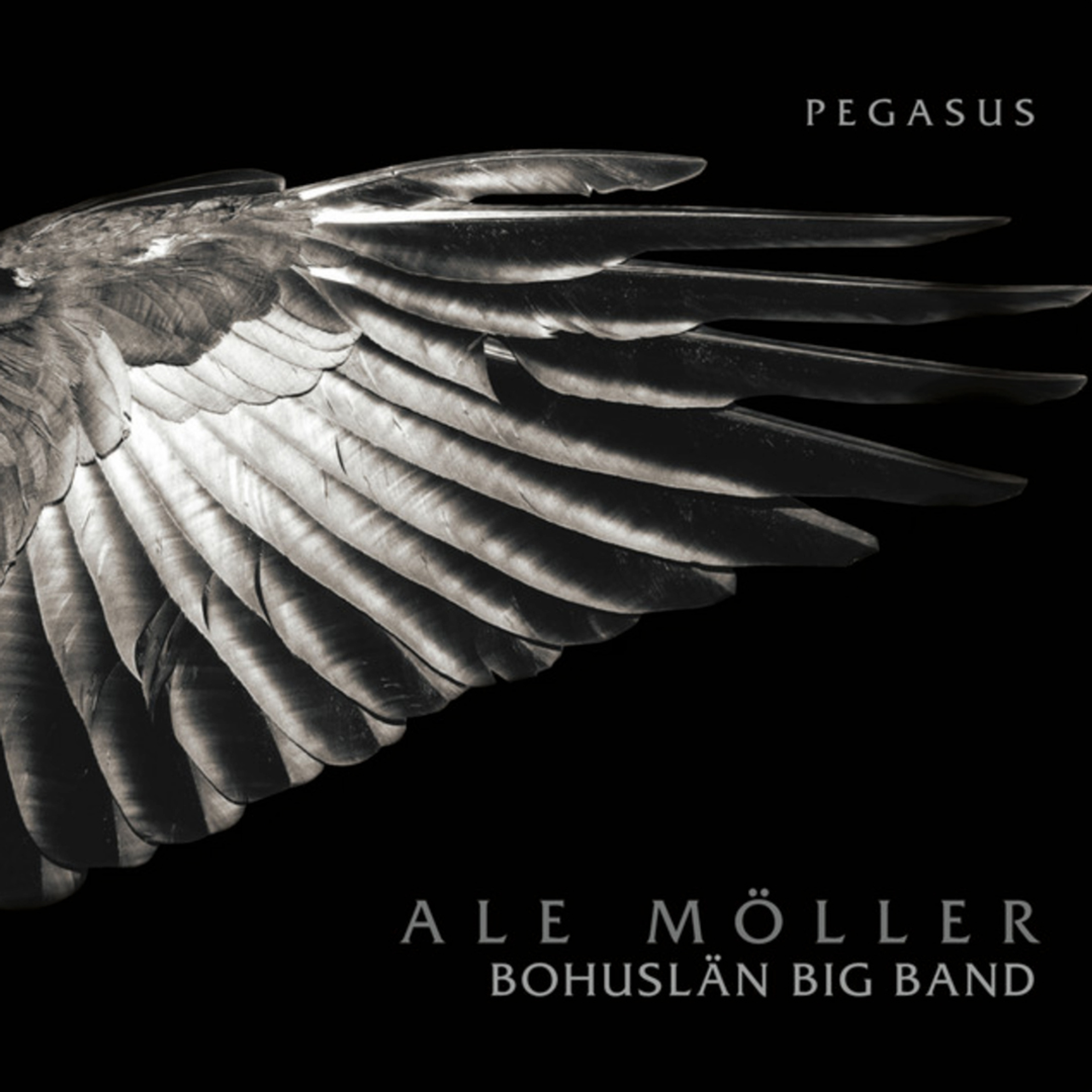 Skivomslag Pegasus
