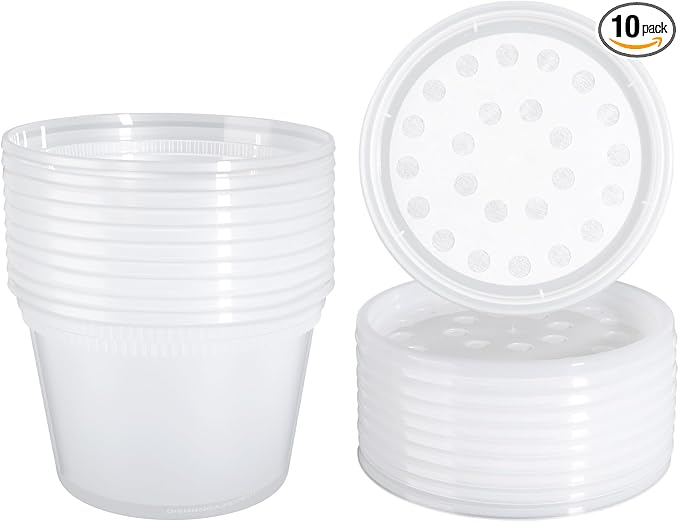 Deli Cups with Fabric 10 Packs