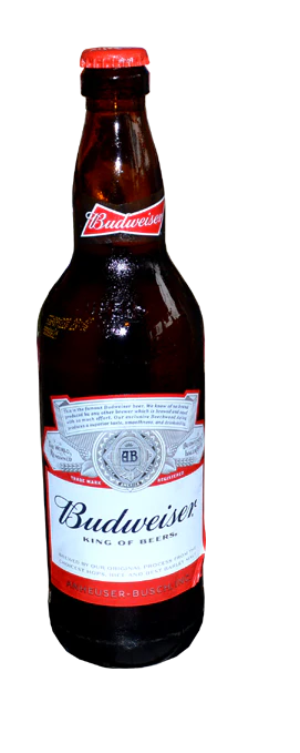 Budweiser Lager Beer 600ml
