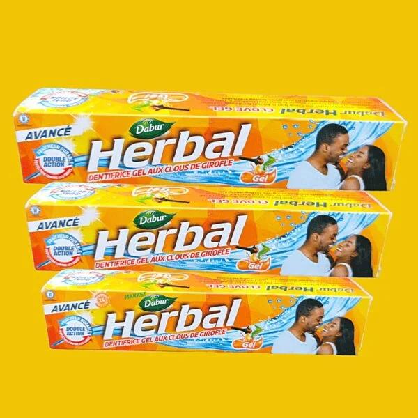 Dabur Herbal Clove Gel Toothpaste