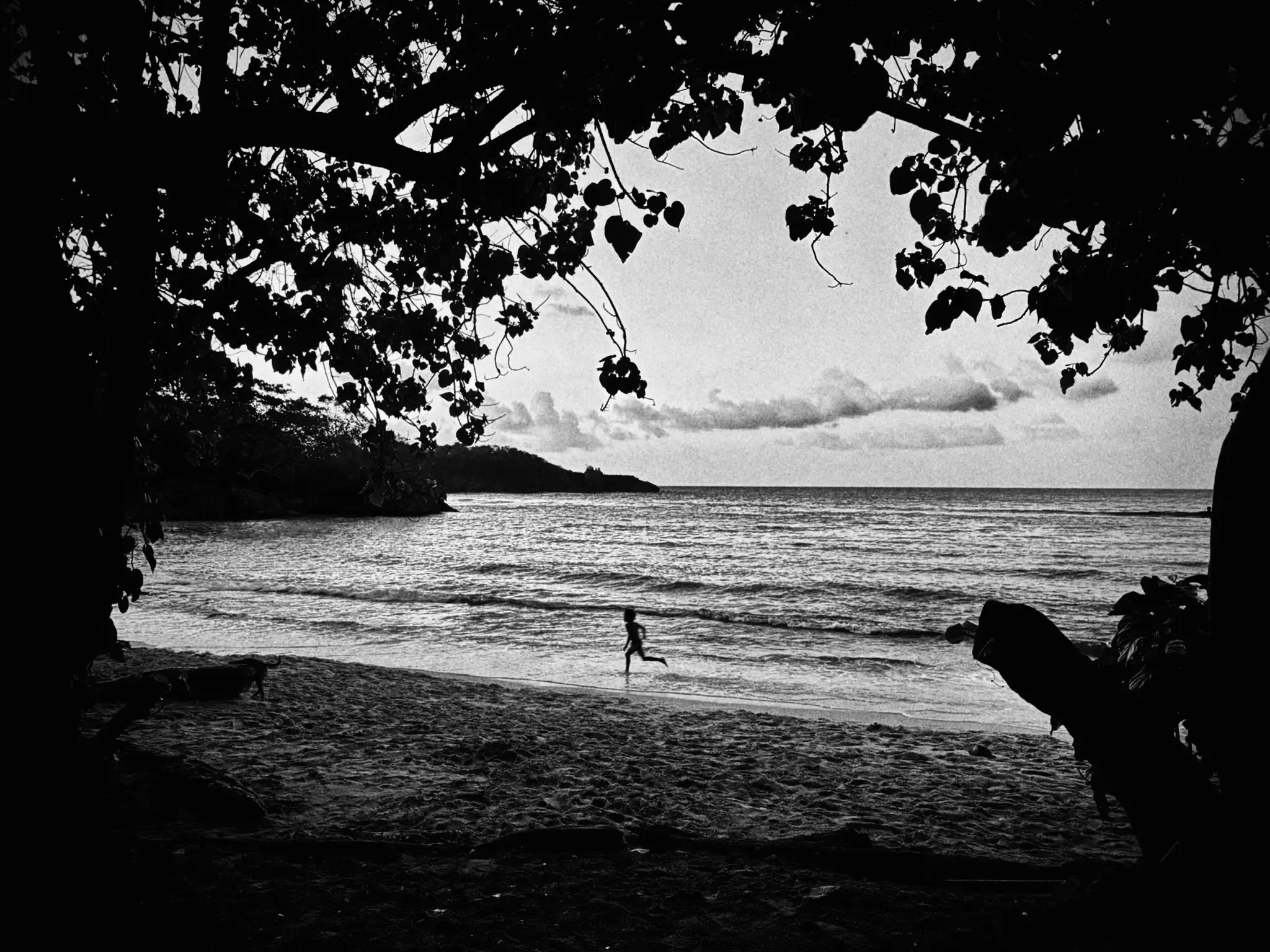 Jamaica Mar 25