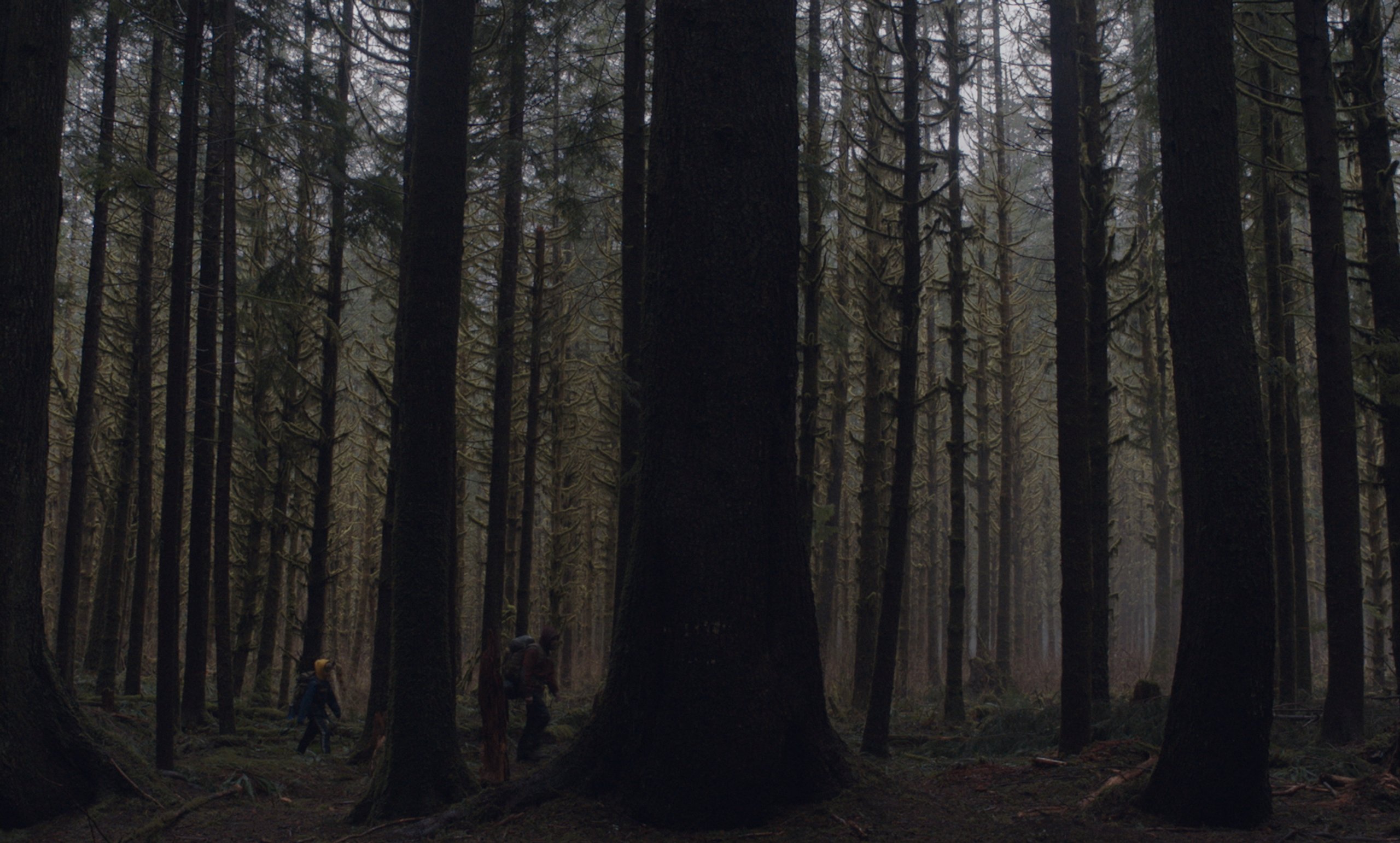 Site image
