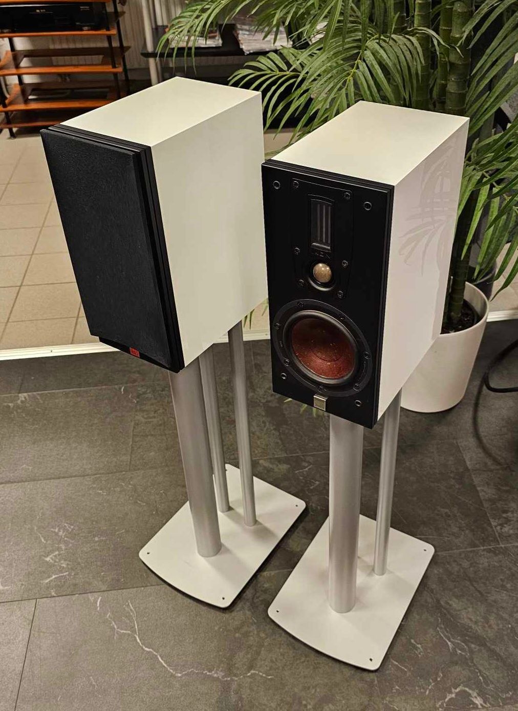 DALI Ikon 1 MK2