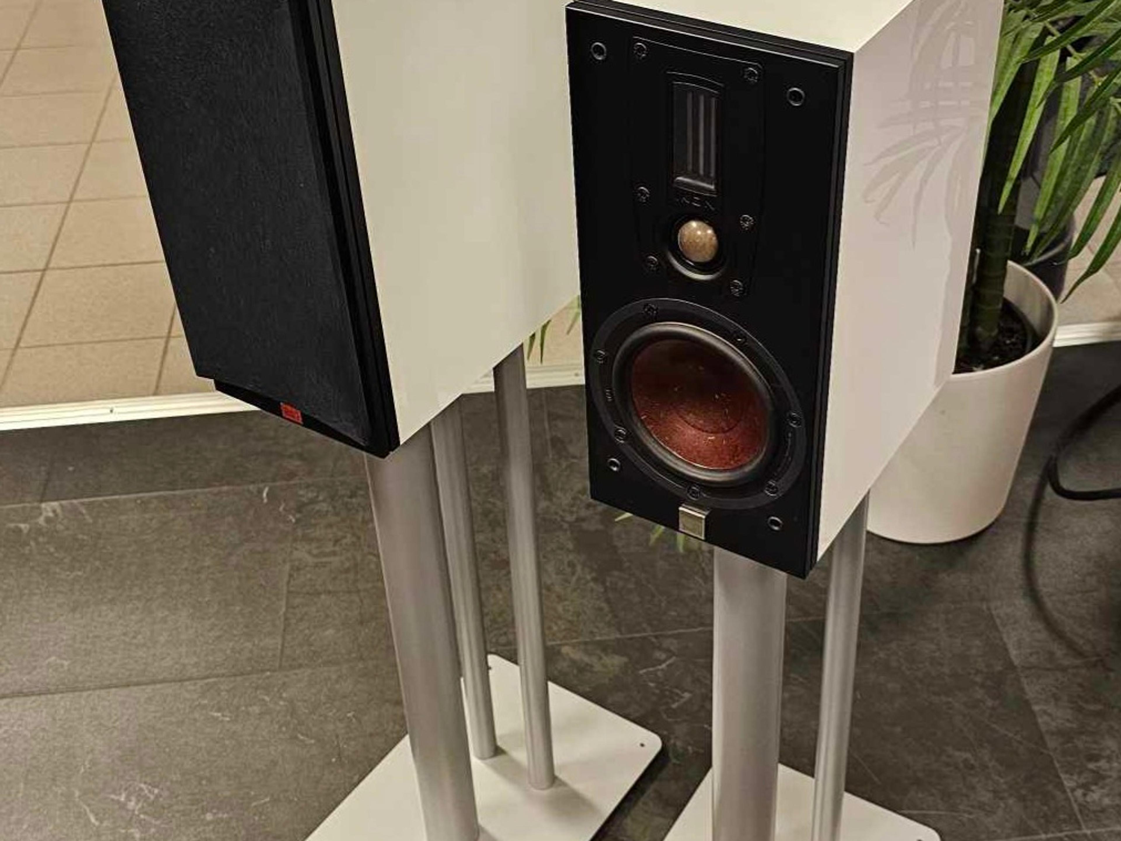 DALI Ikon 1 MK2