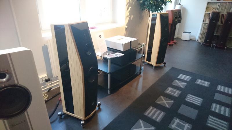 Högtalare och skivsamling i butikens lyssningsrum