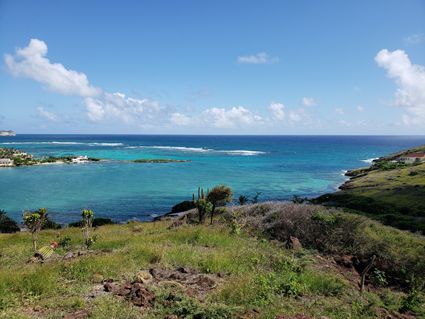 Mamora Bay #324