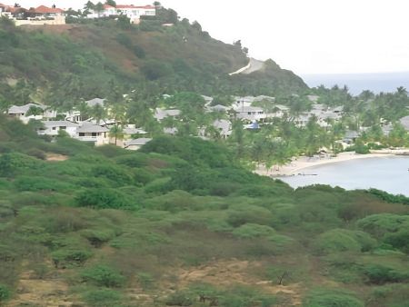 Picadilly - Mamora Bay