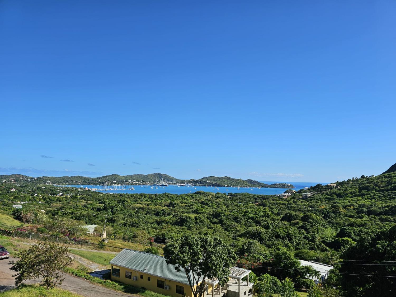 Patterson's Estate