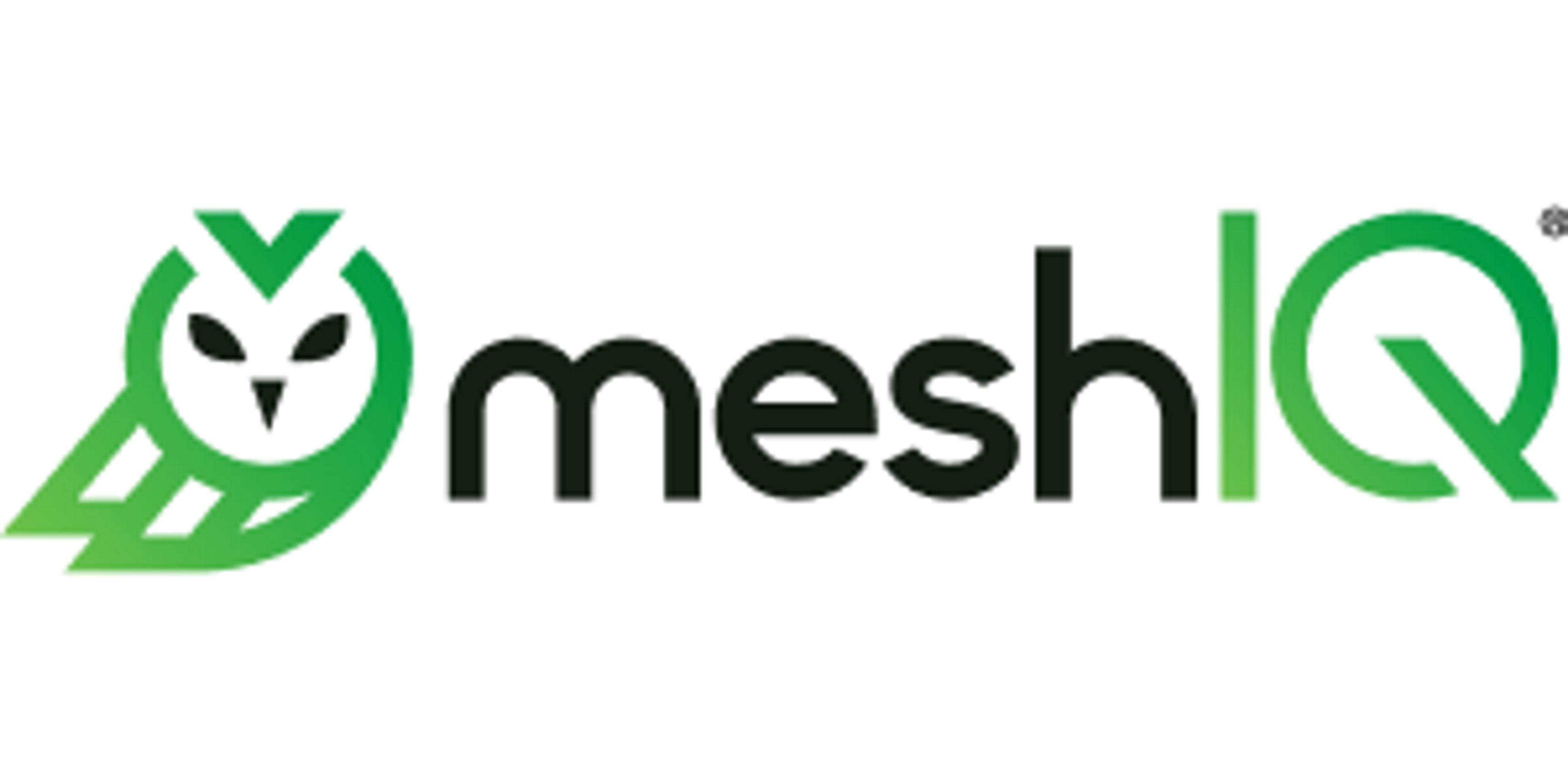 MeshIQ logo