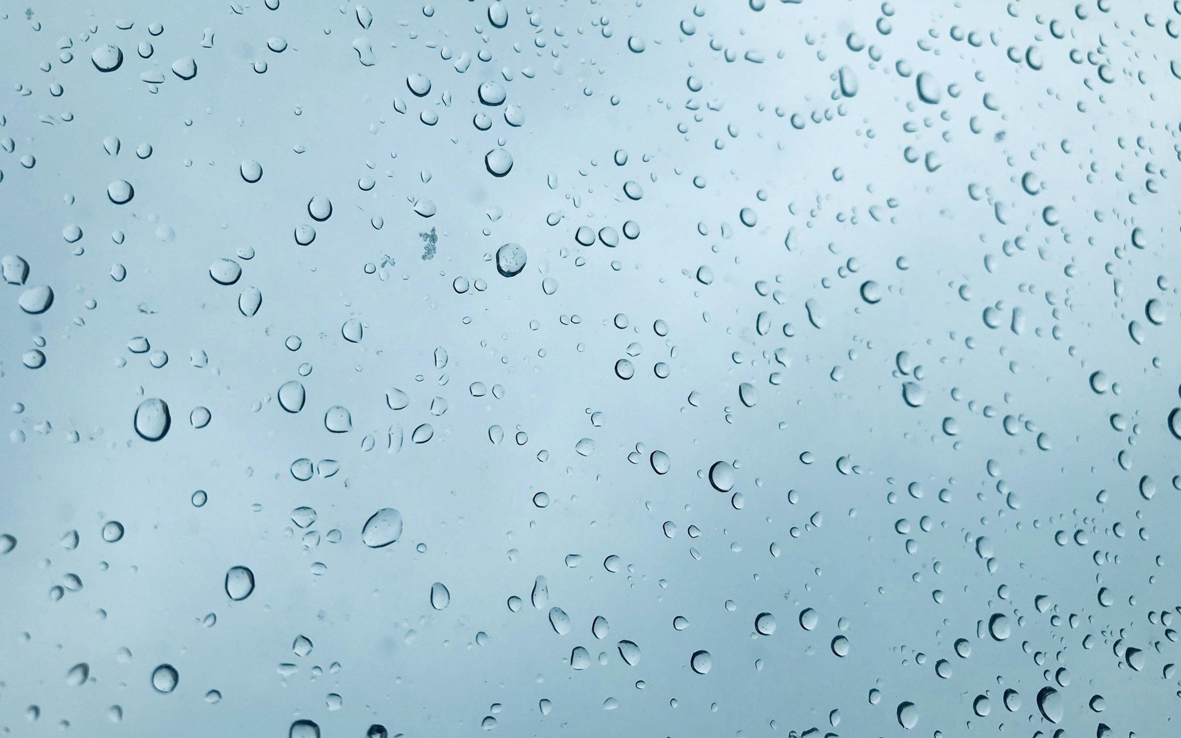 Waterproof Testing: The Invisible Guardian of Your Timepiece