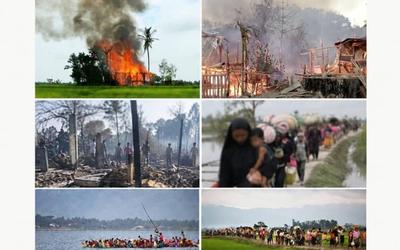 Documentary Report & Memorial Tribute: 9th Anniversary of the Rohingya Genocide Remembrance Day (2026)